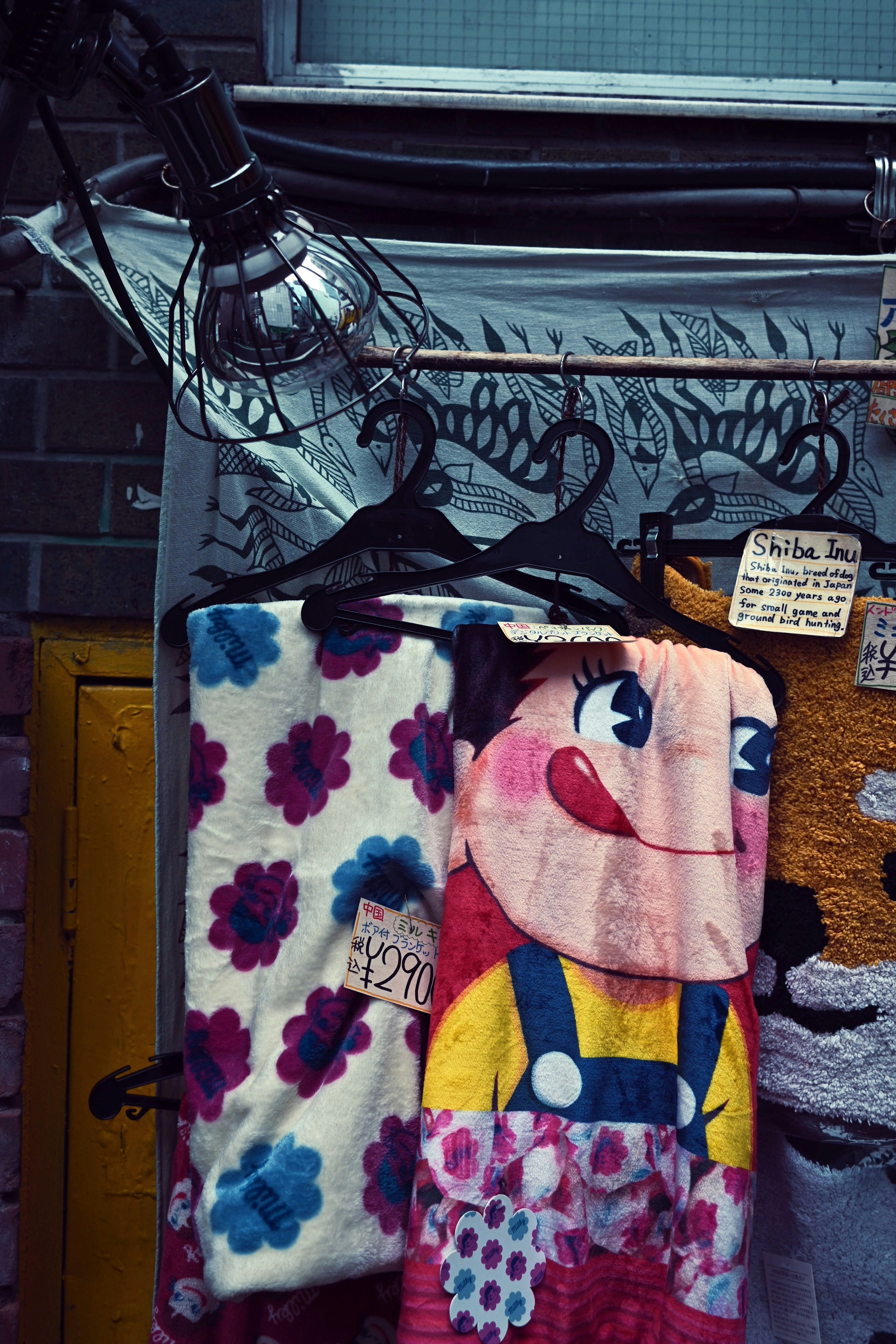 Colorful character towel and floral blanket hanging on a wall