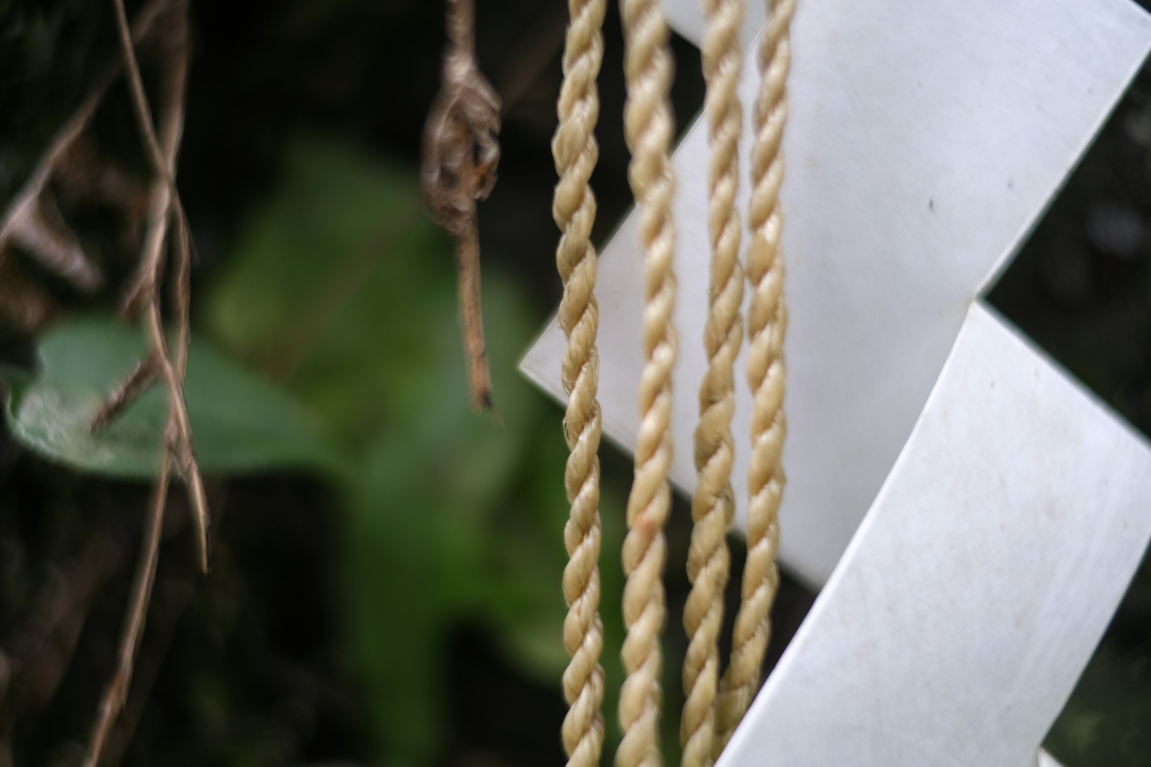 Cuerdas amarillas y papel blanco colgando sobre un fondo verde