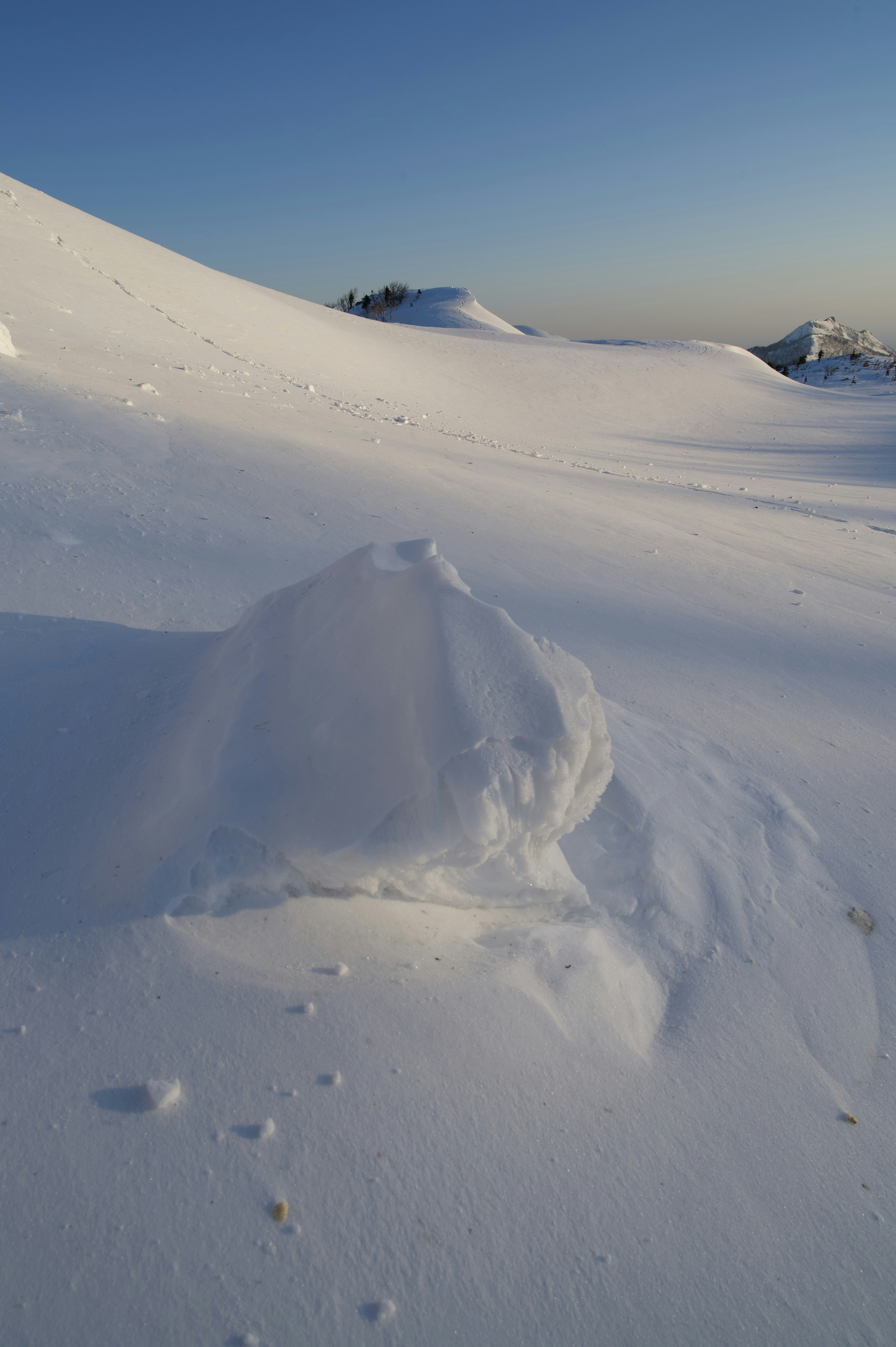 雪に覆われた風景の中に小さな雪の山が見える