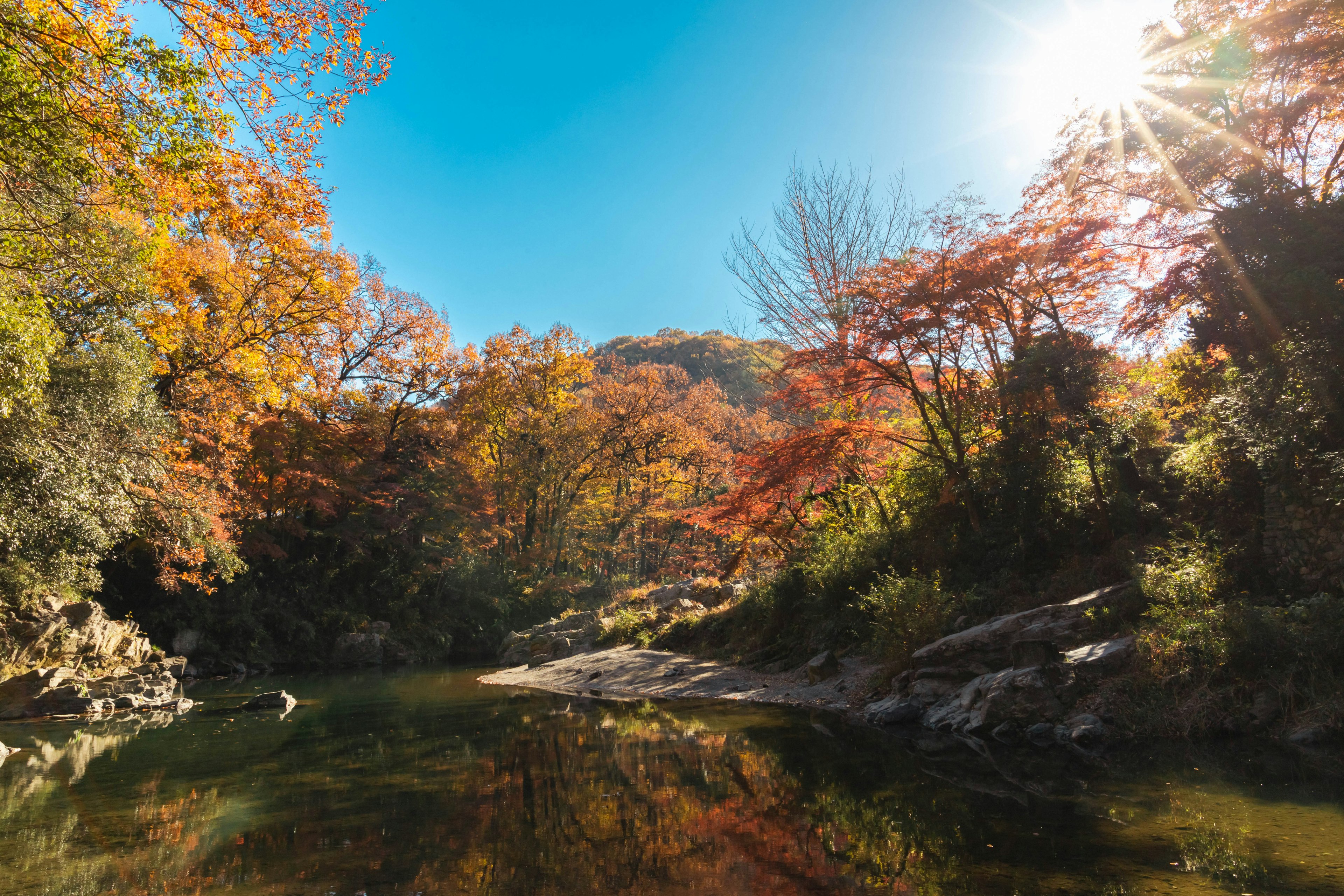 Calm river reflecting autumn foliage and trees under a bright sky