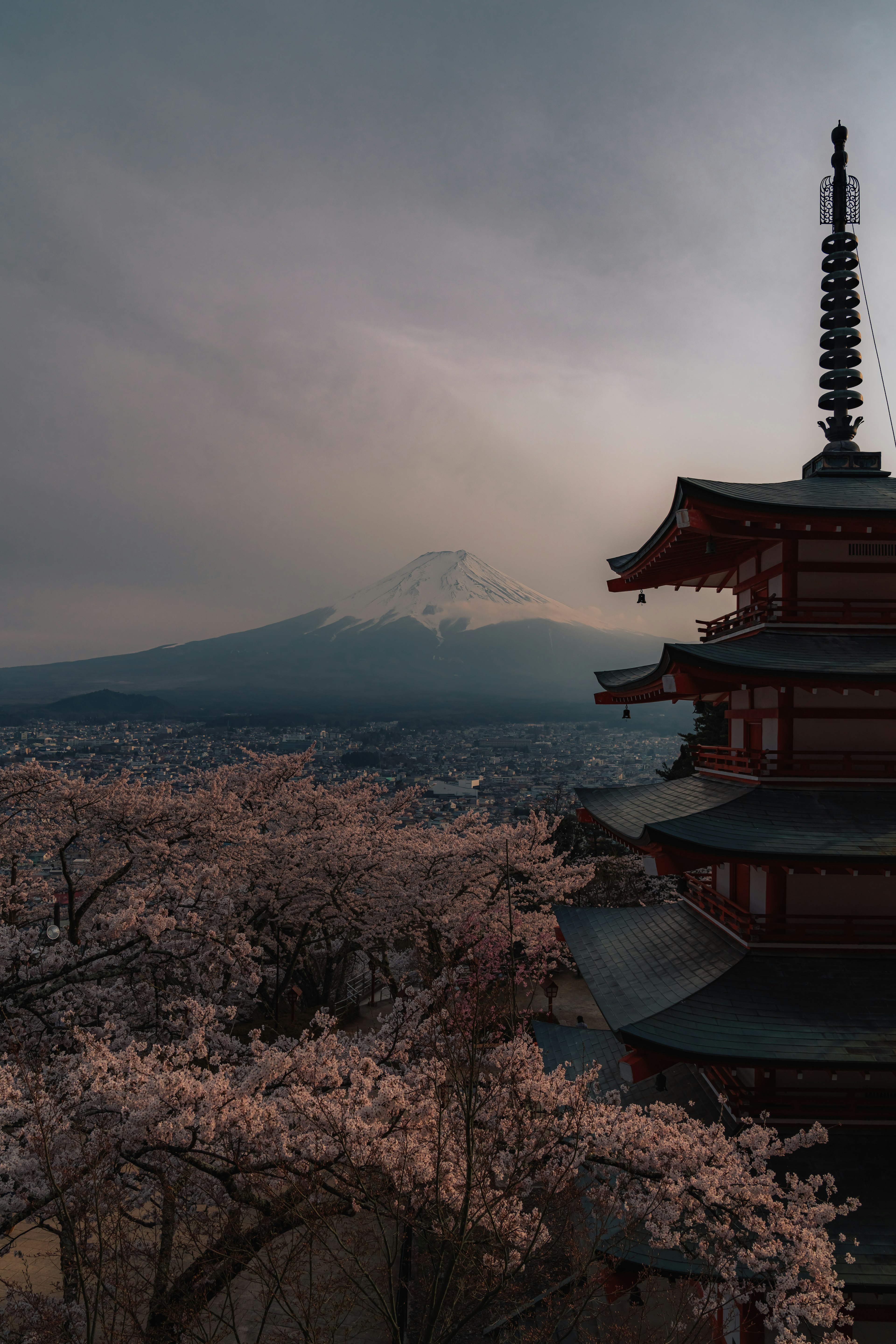 桜と富士山を背景にした五重塔の風景