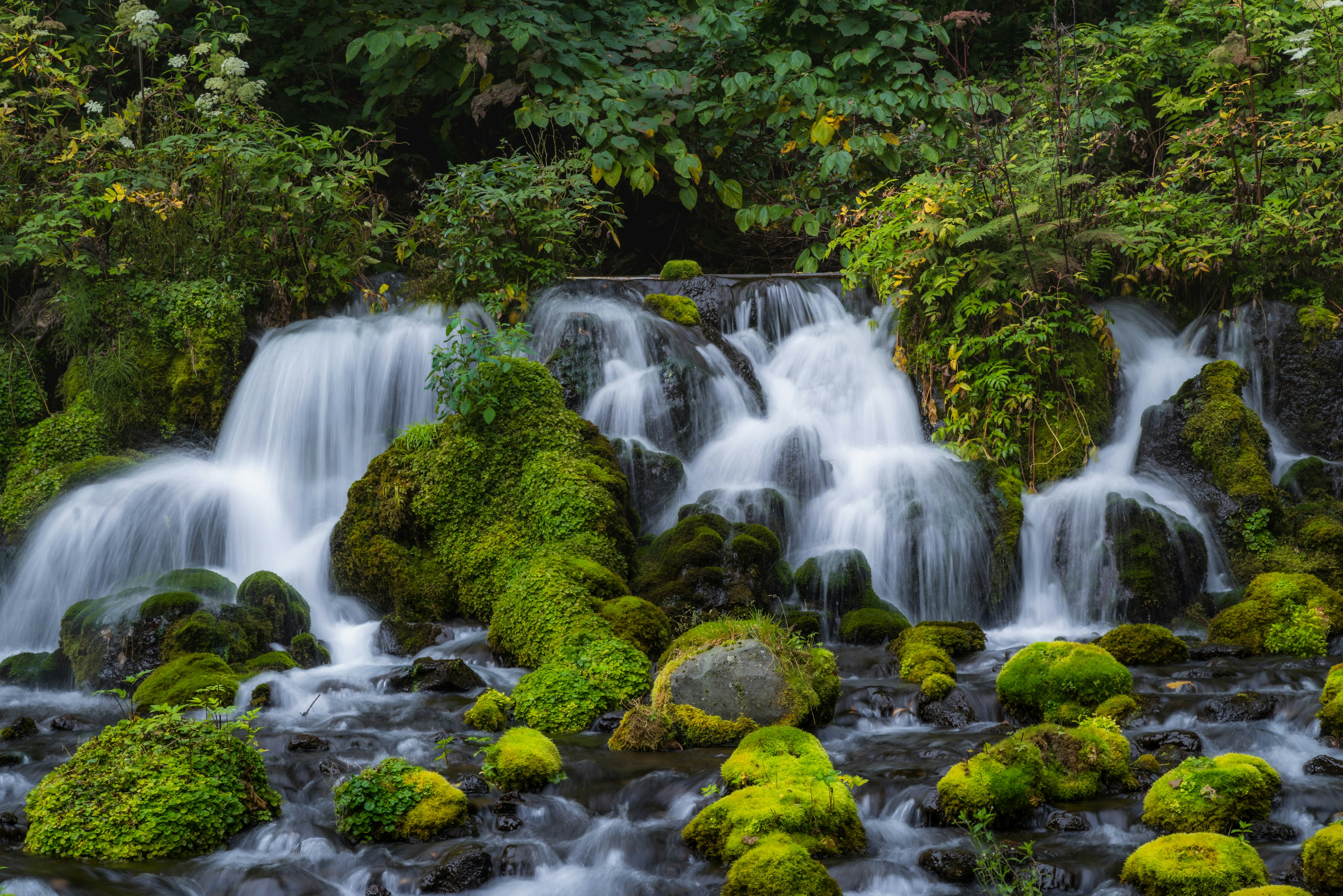 Pemandangan indah dengan air terjun mengalir di atas batu yang tertutup lumut