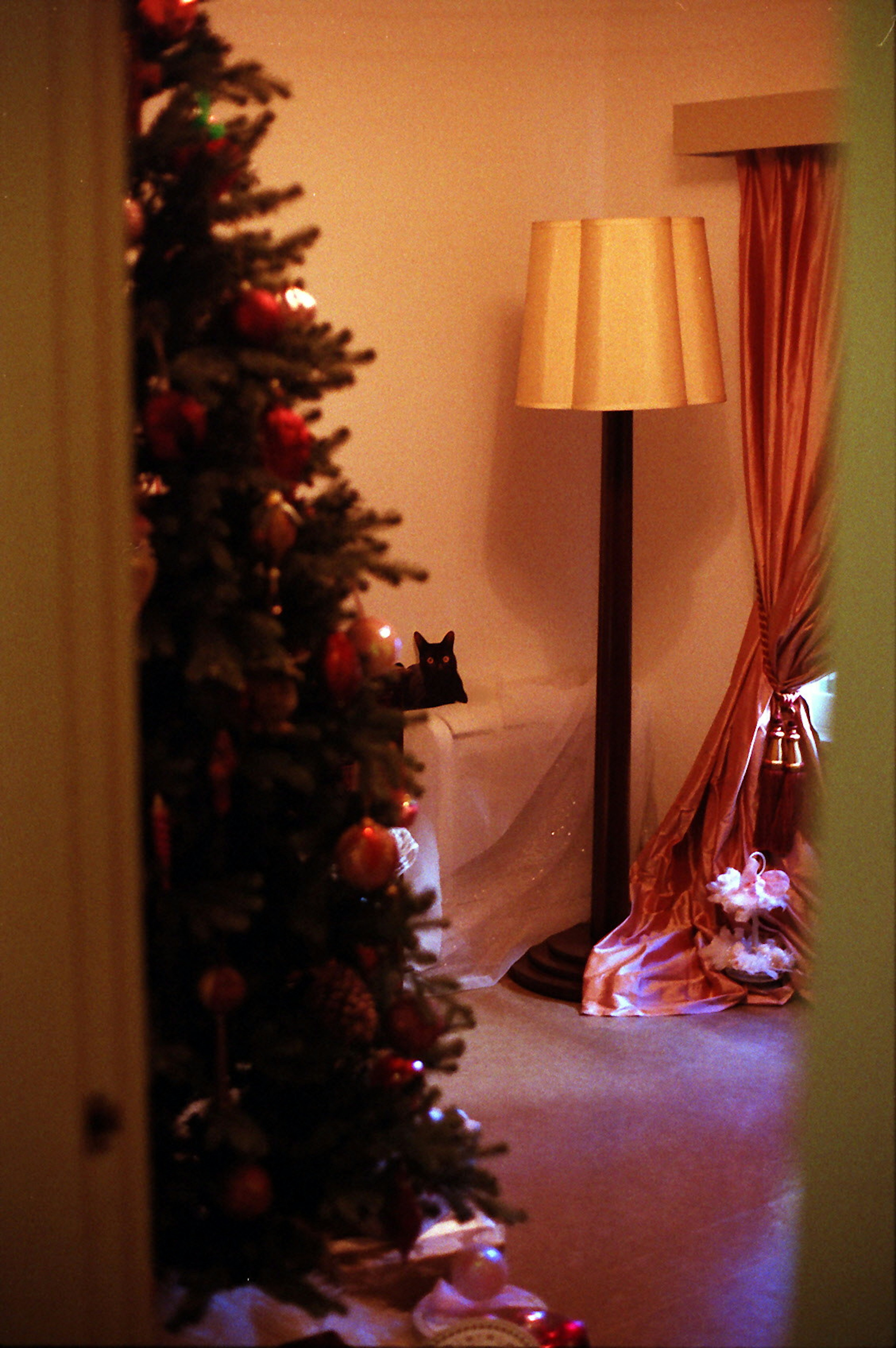 Cozy living room scene with a Christmas tree and a lamp