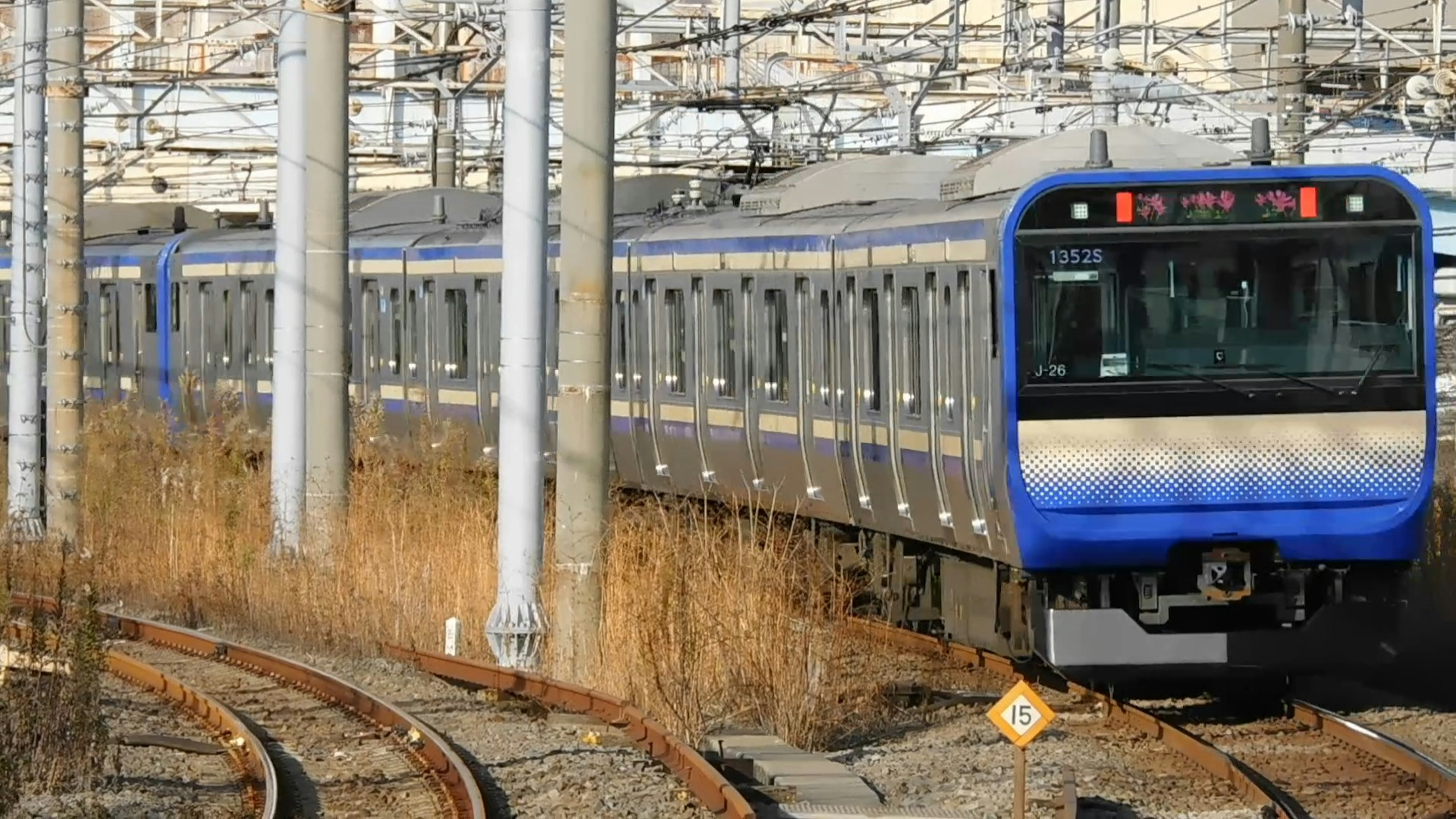 Blue train on curved tracks surrounded by tall grass