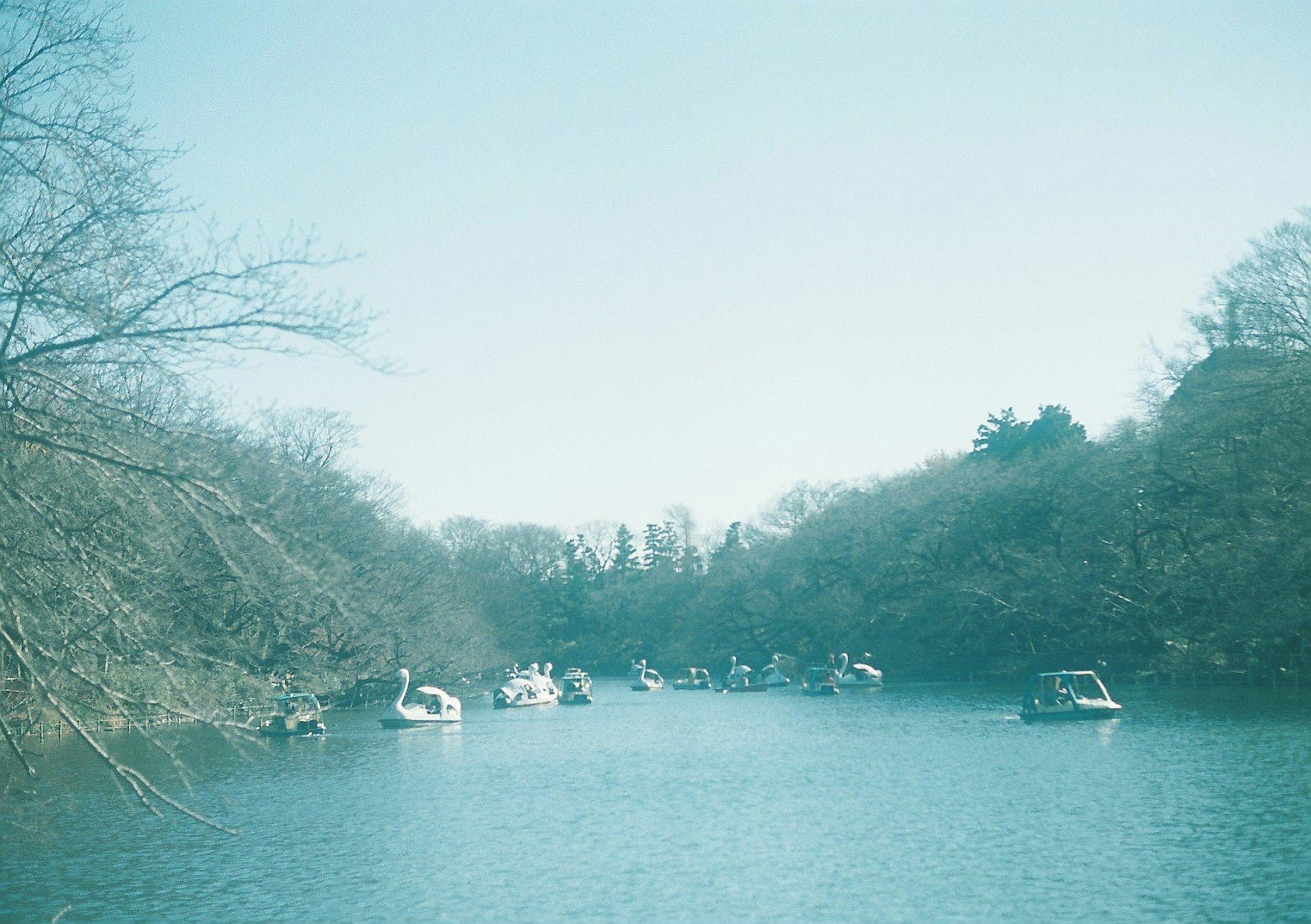 Ruhige Flusslandschaft mit Schwänen und Booten