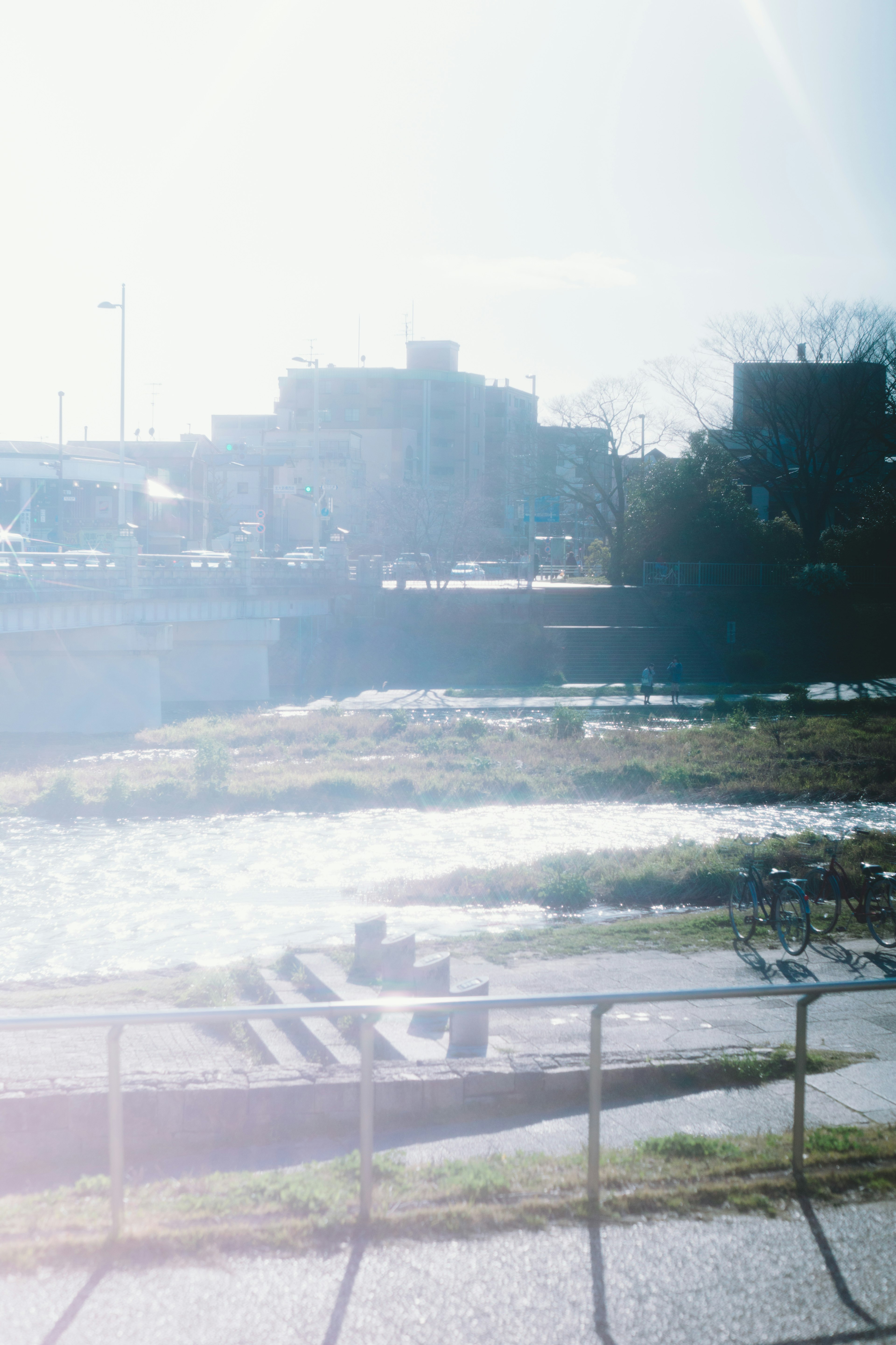 A photo of a riverbank scene with soft light shining through