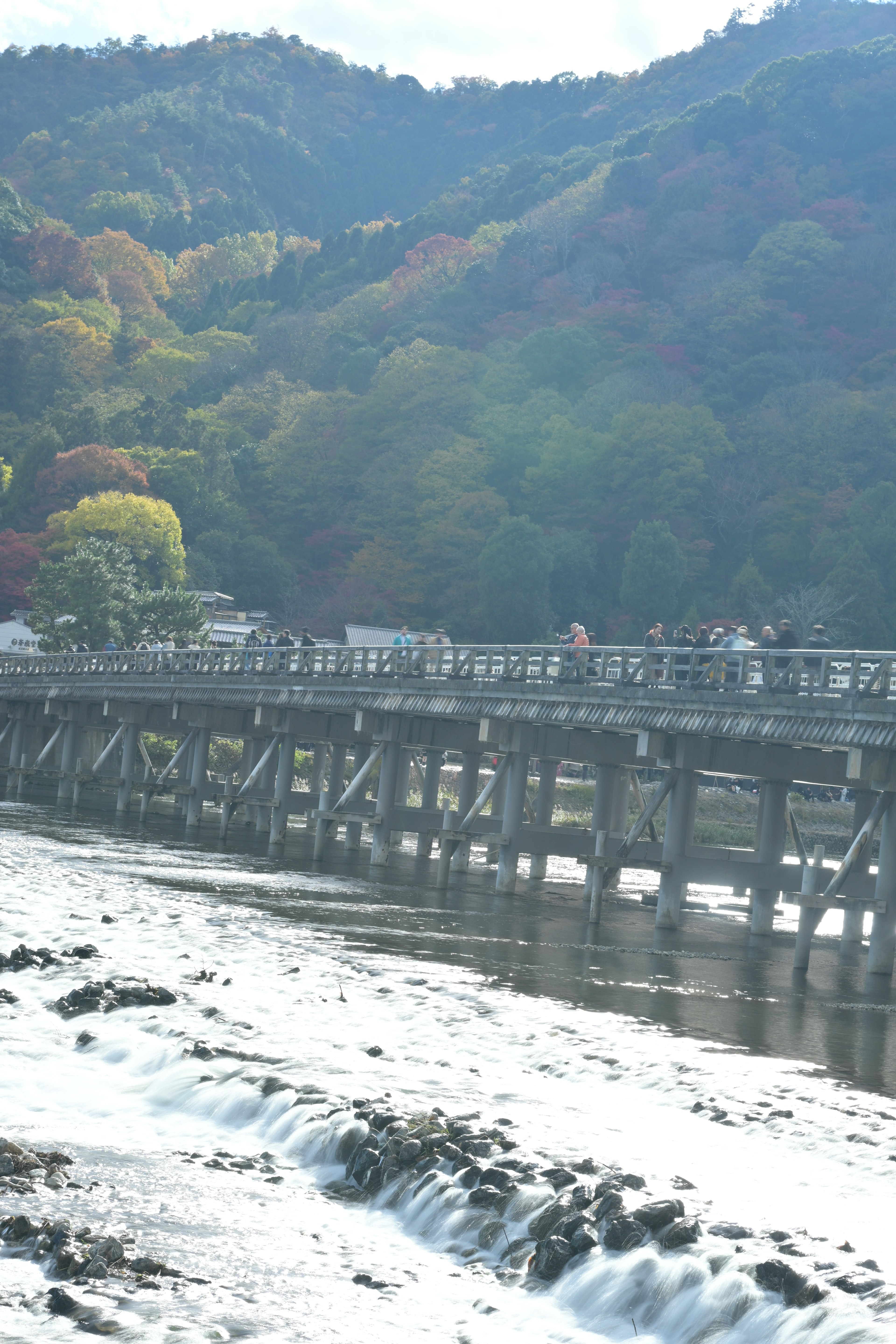 川の上にある木製の橋と周囲の山々の風景