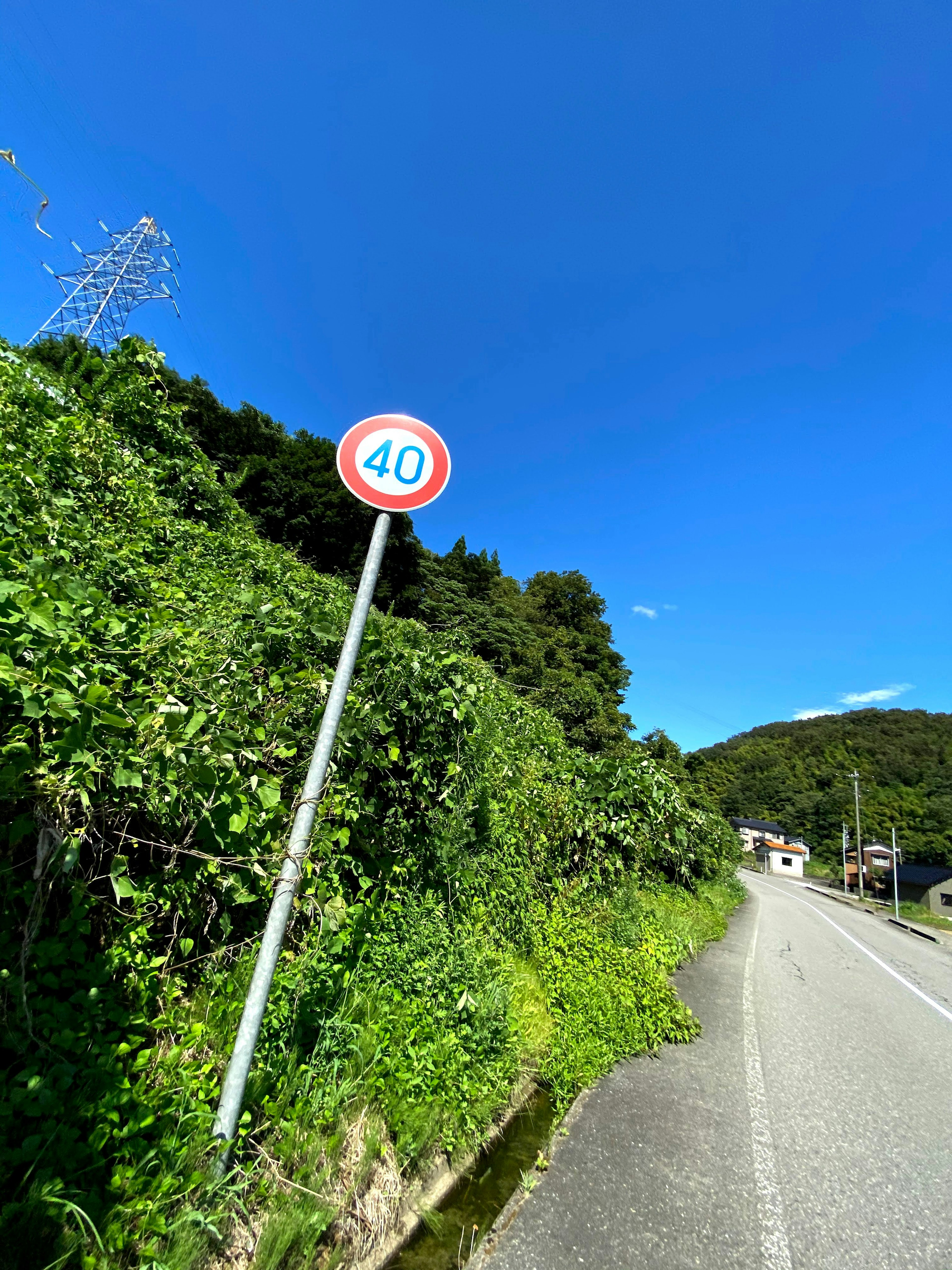 Señal de límite de velocidad de 40 km bajo un cielo azul claro con vegetación exuberante