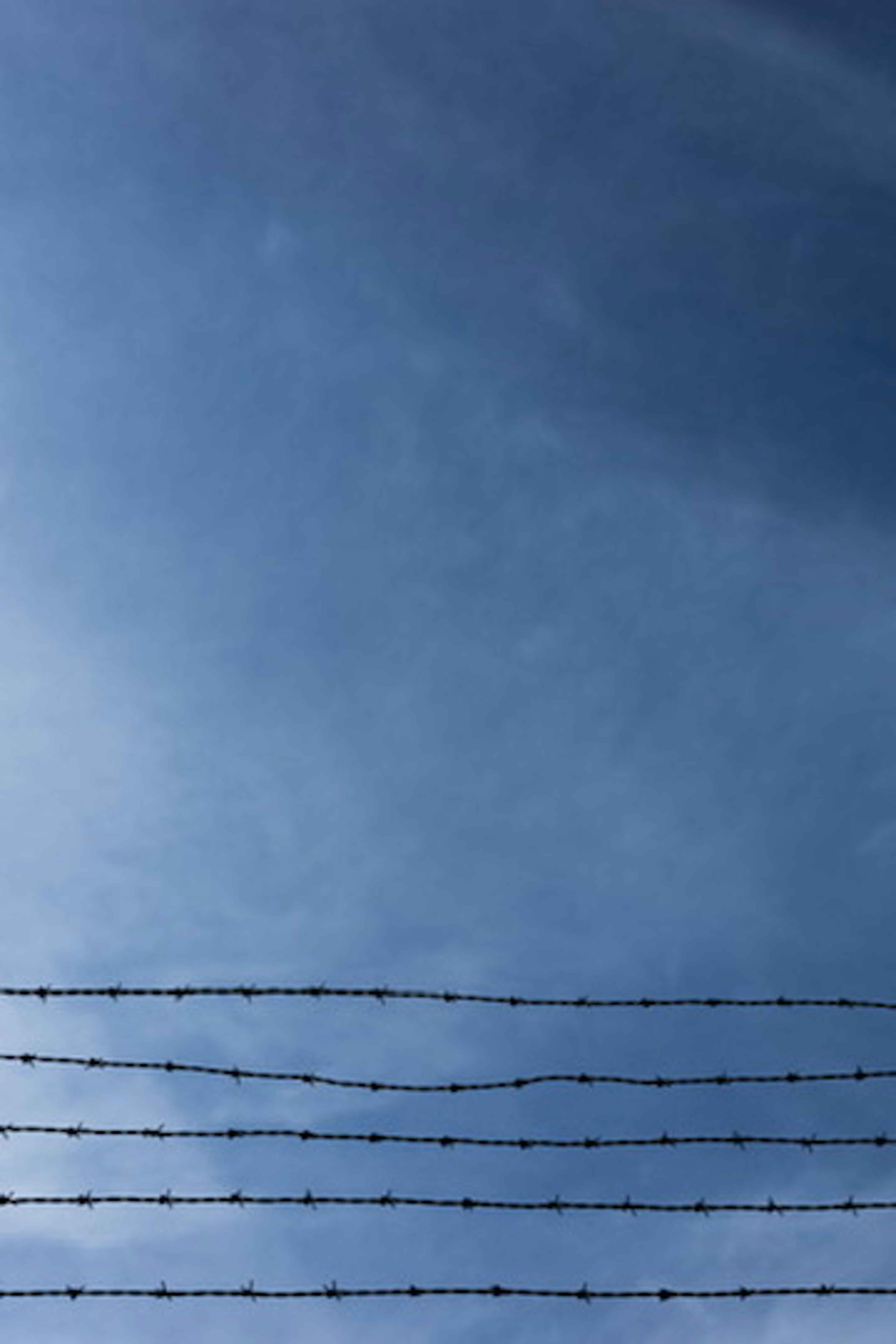 Image featuring a clear blue sky with barbed wire in the foreground