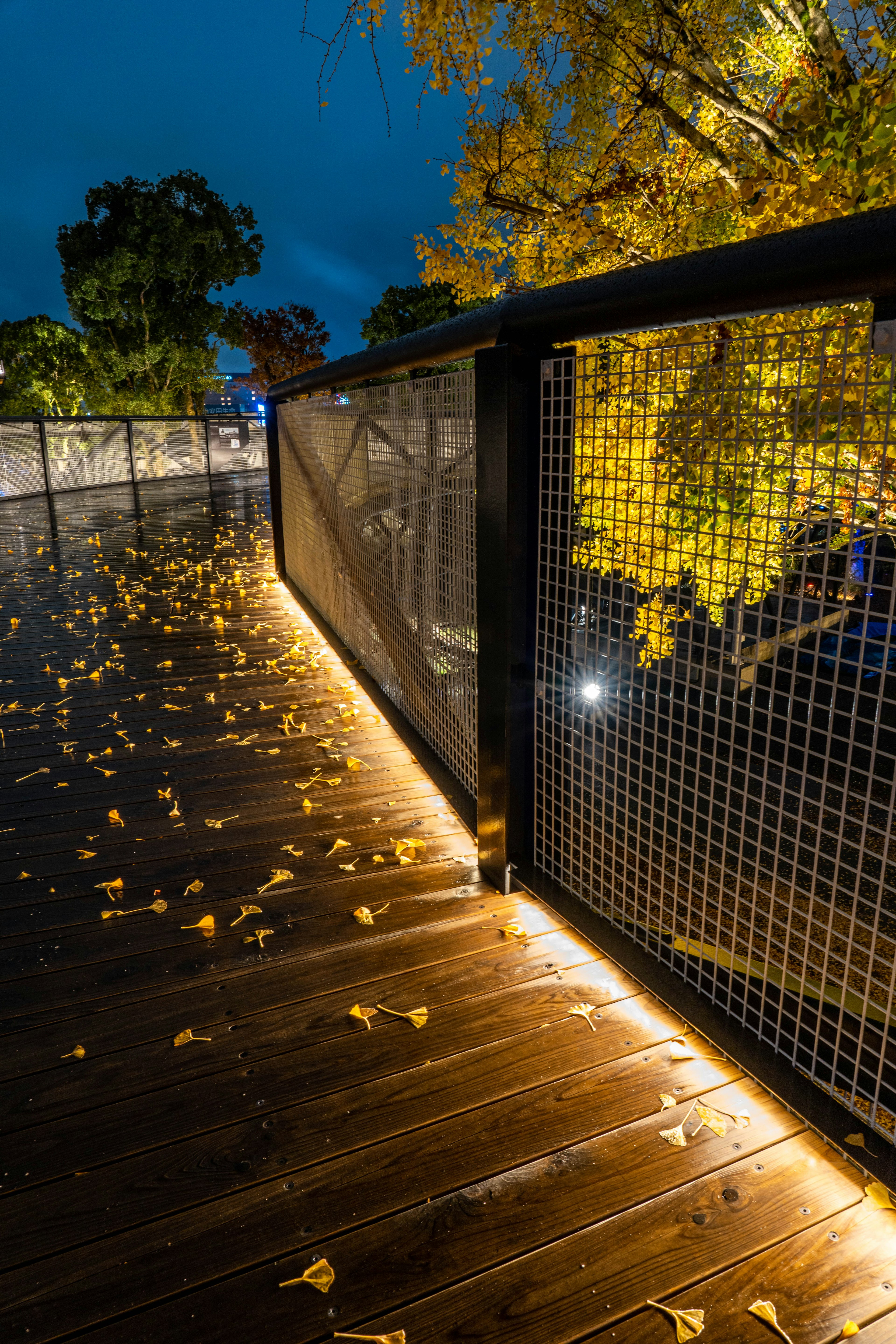 Sentiero notturno con foglie cadute e illuminazione soffusa