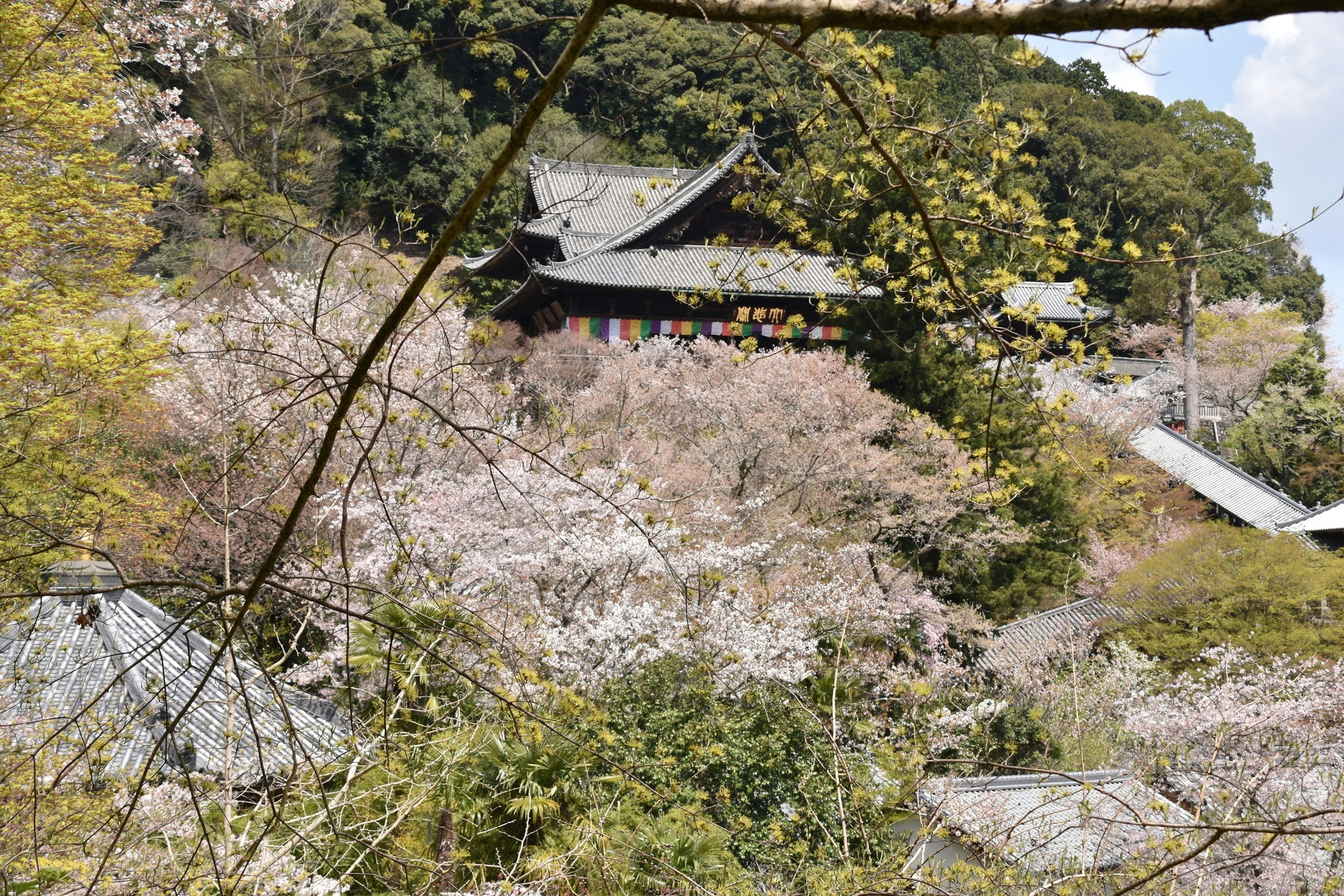 Bangunan tradisional Jepang dikelilingi bunga sakura di daerah pegunungan