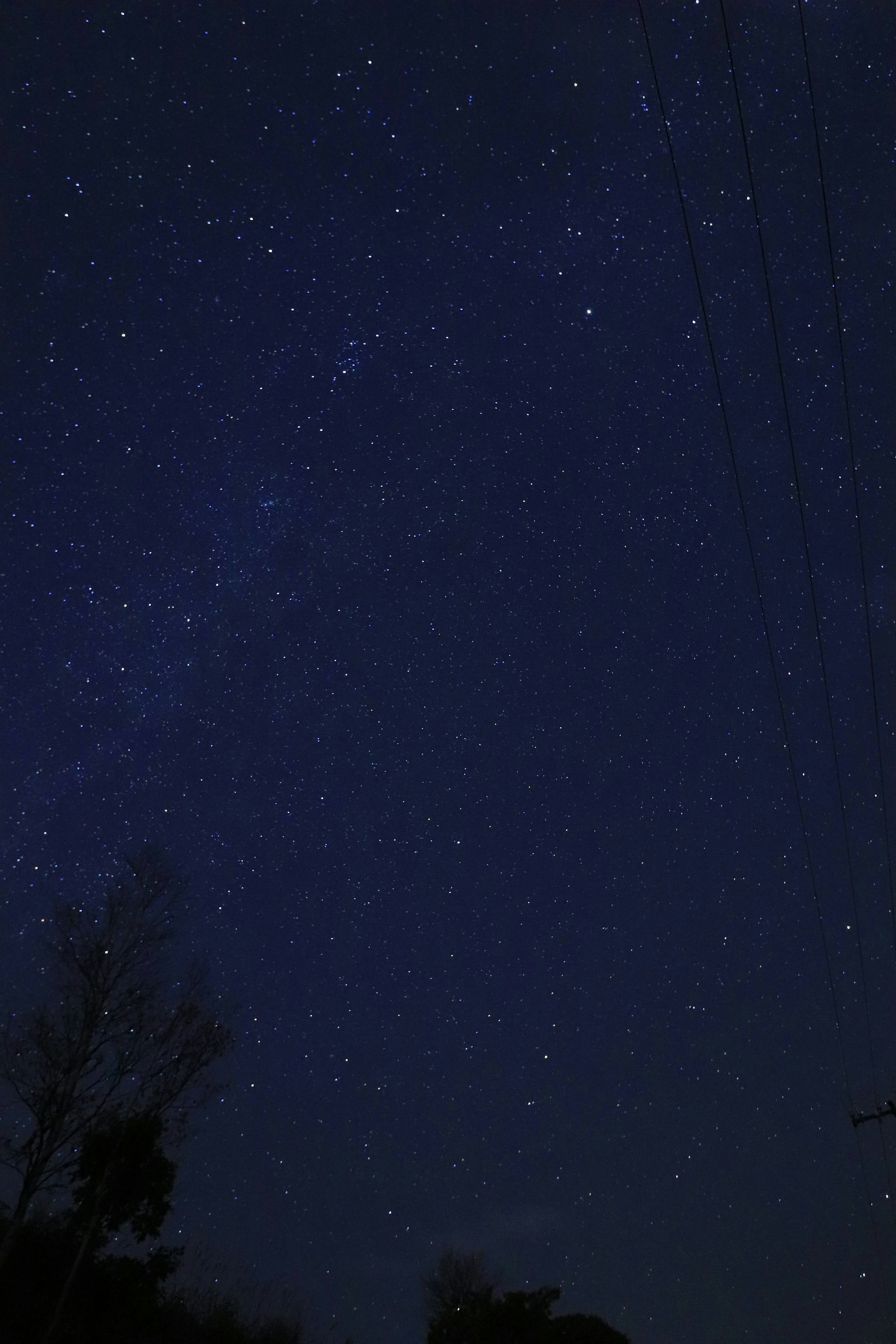 Un hermoso cielo nocturno lleno de estrellas brillantes