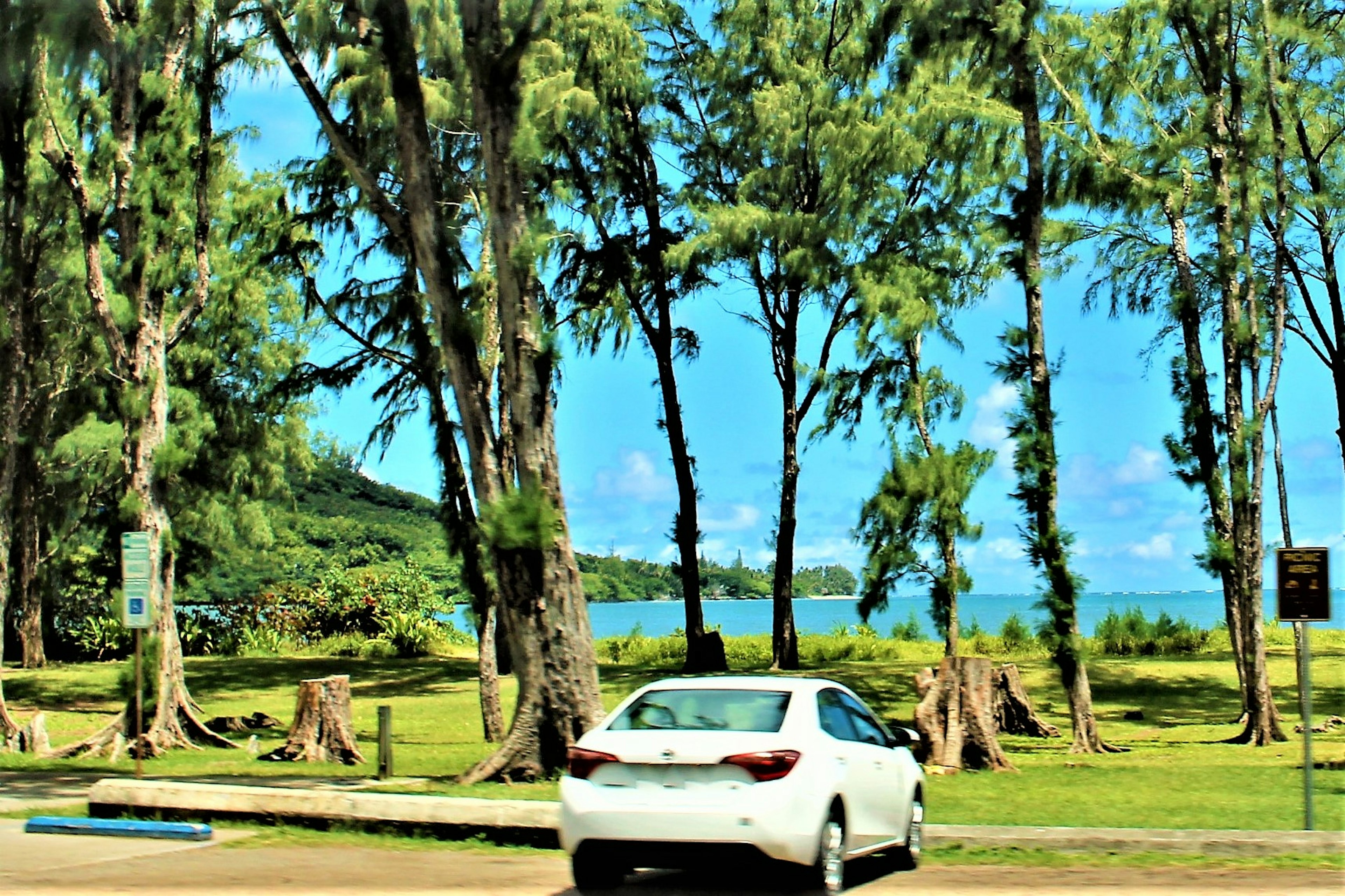 青い海と緑の木々がある公園の風景 白い車が駐車している