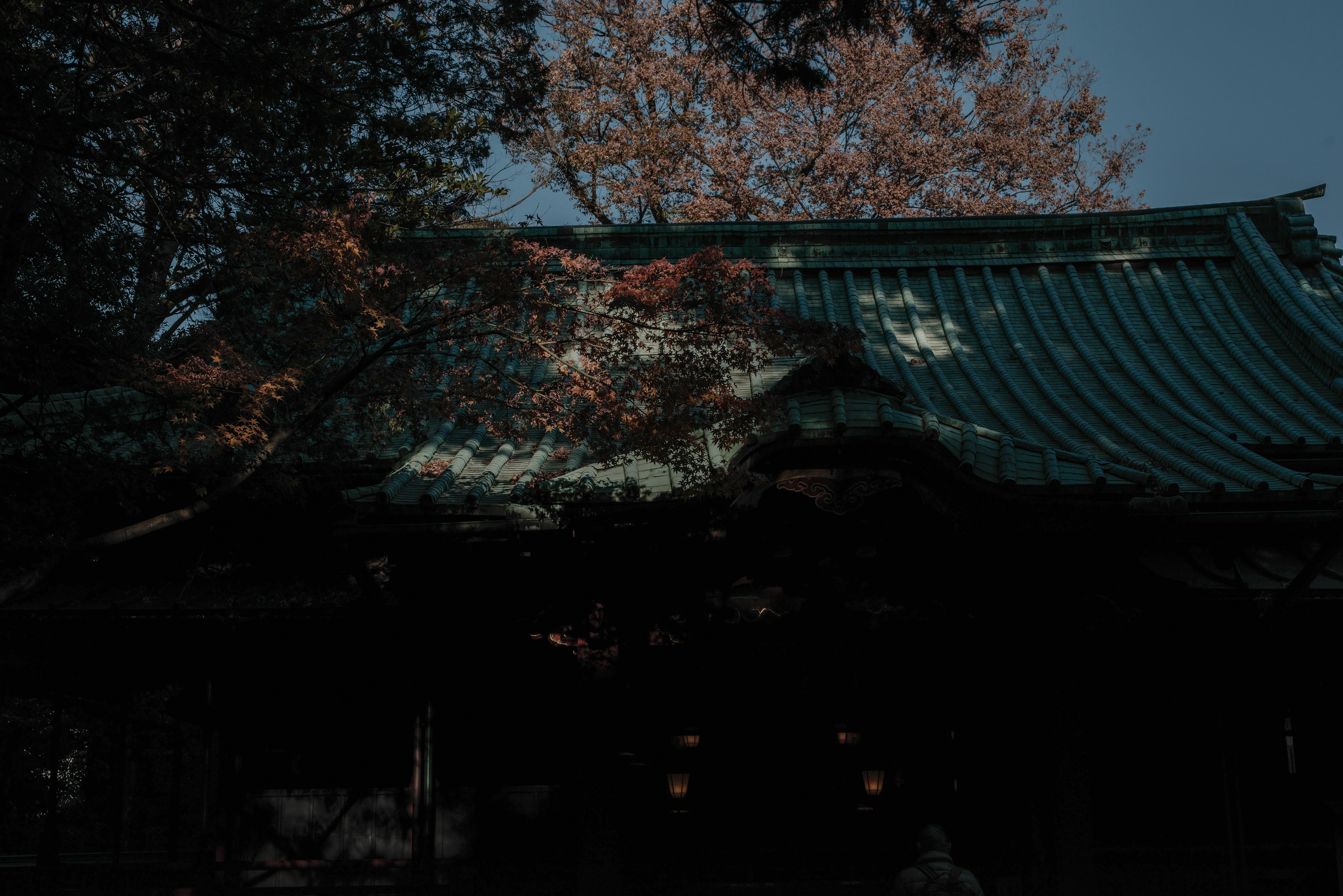 Traditionelles japanisches Gebäude umgeben von herbstlichem Laub unter einem dunklen Himmel