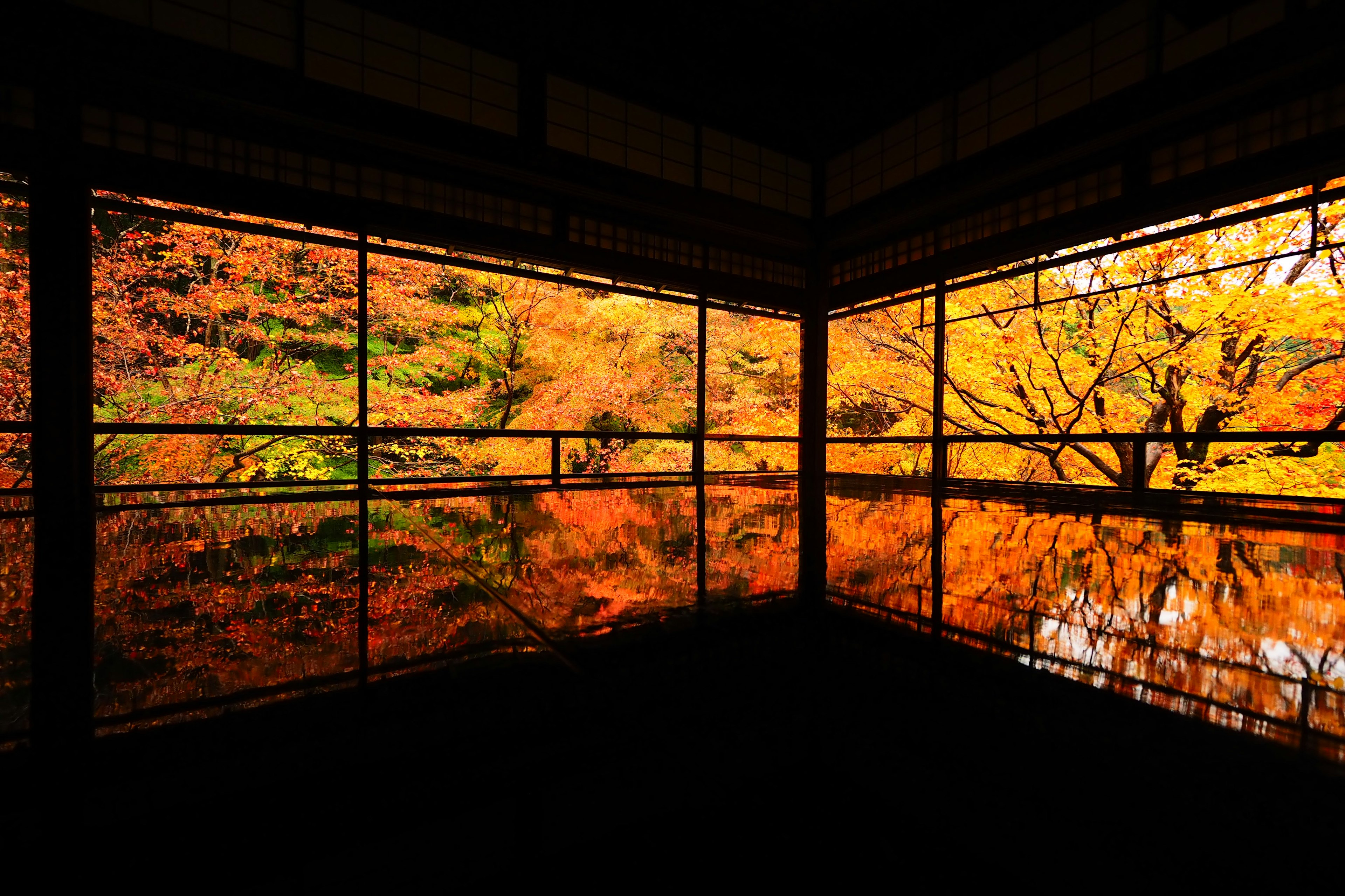 Schöner Blick auf den Herbstlaub, der in den Fenstern reflektiert wird