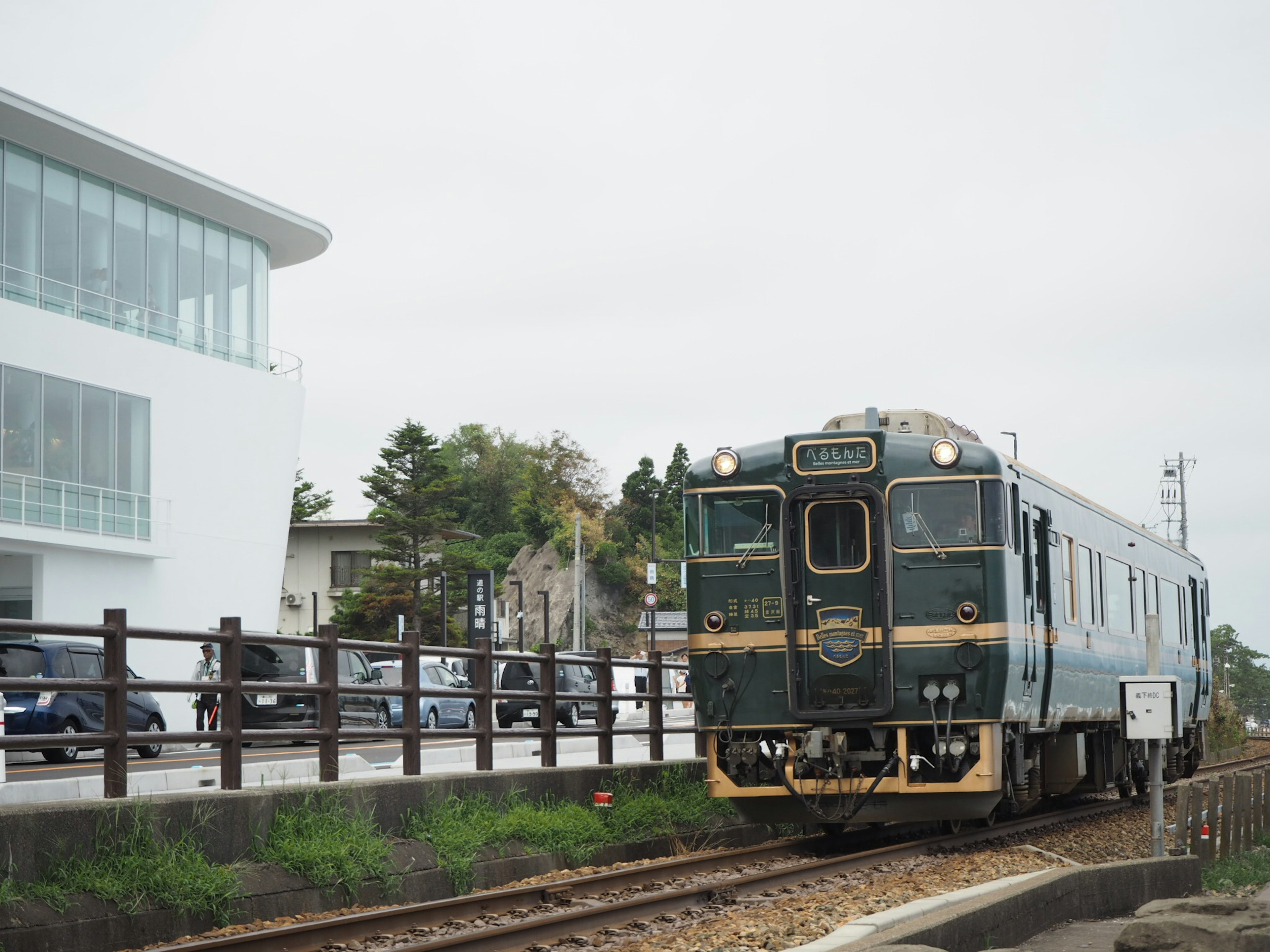 Tren verde llegando a una estación en un día nublado