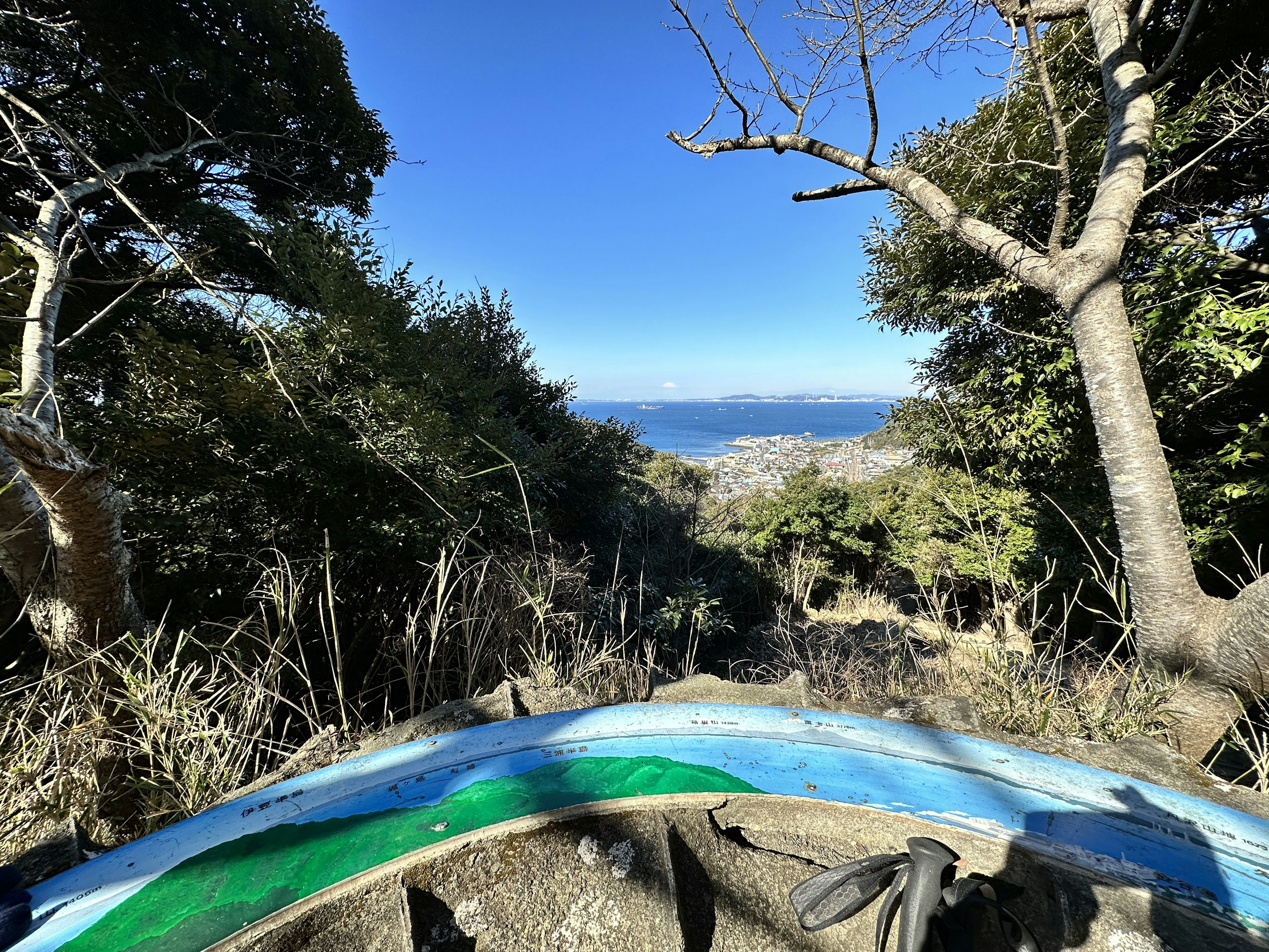 Landschaft mit Bäumen und blauem Himmel sowie Ozean im Hintergrund