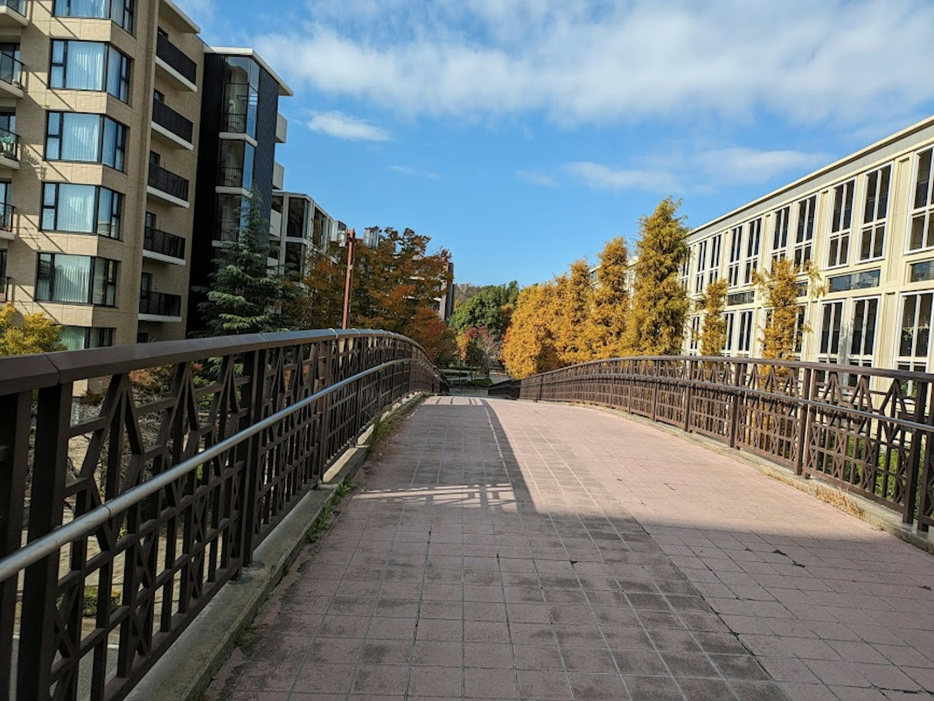 Pont piétonnier entouré d'arbres et d'immeubles sous un ciel bleu