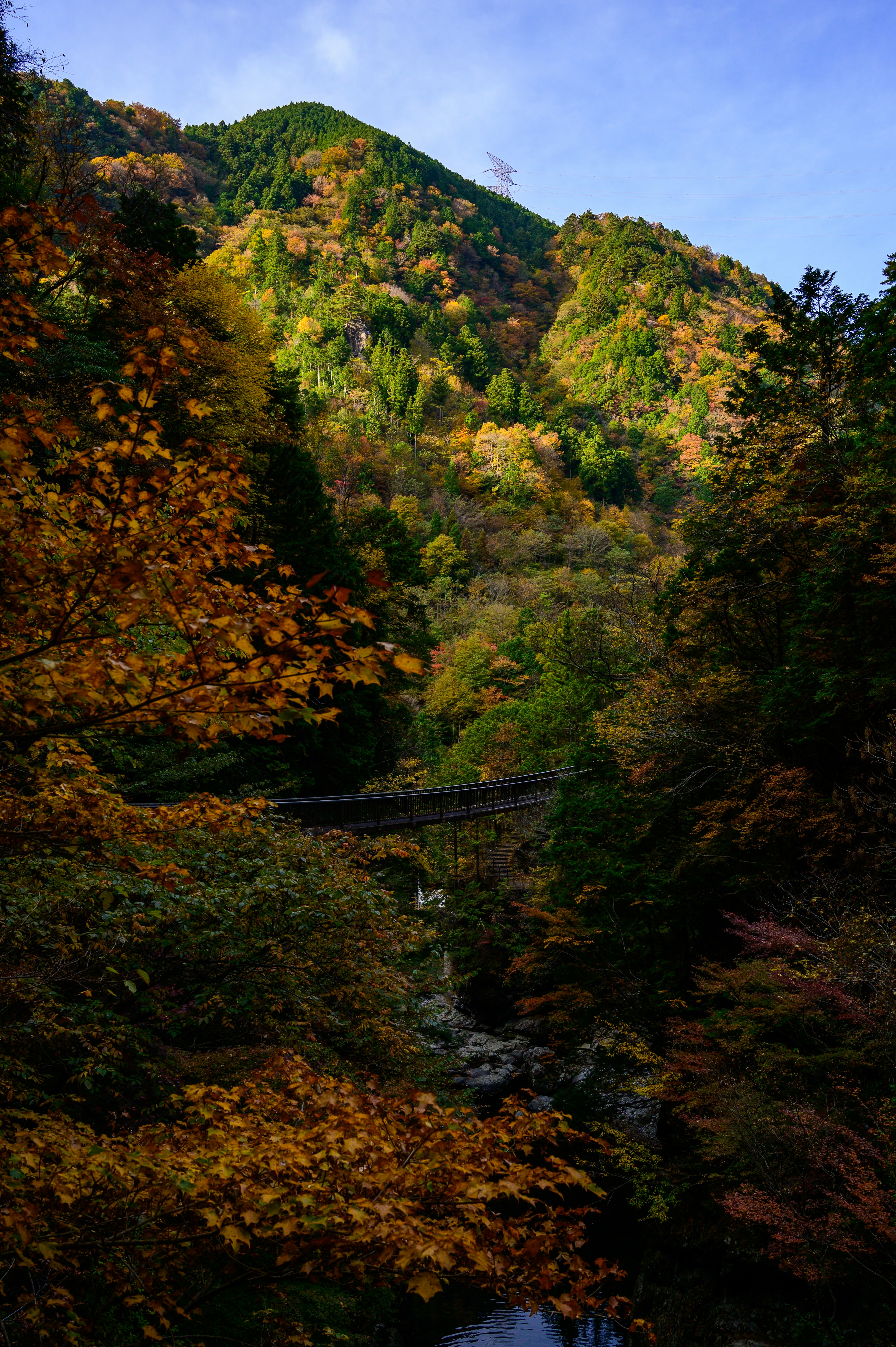 美しい秋の風景、色とりどりの紅葉が広がる山の景観、川を渡る橋