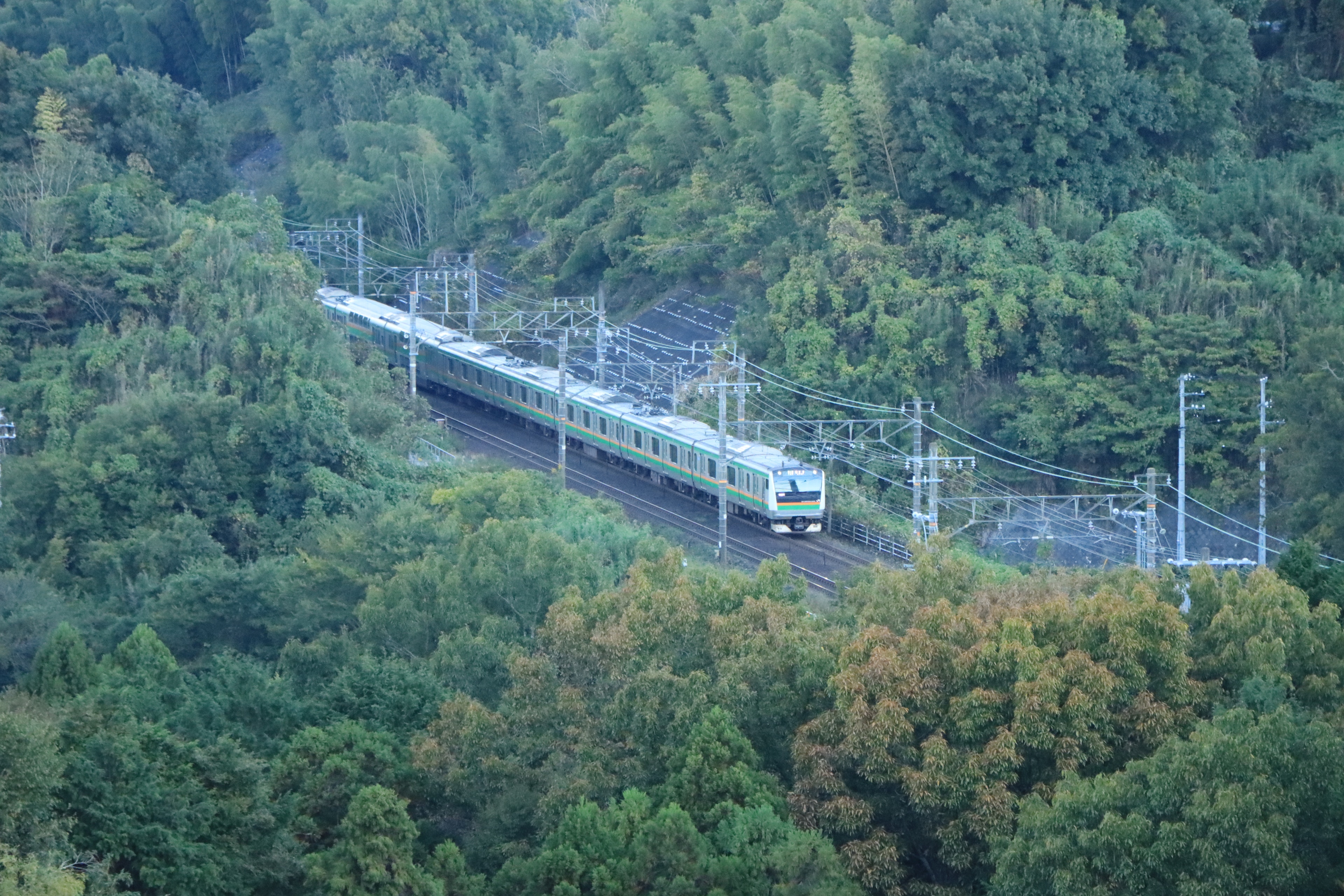 緑の森の中を走る電車の上方からの眺め