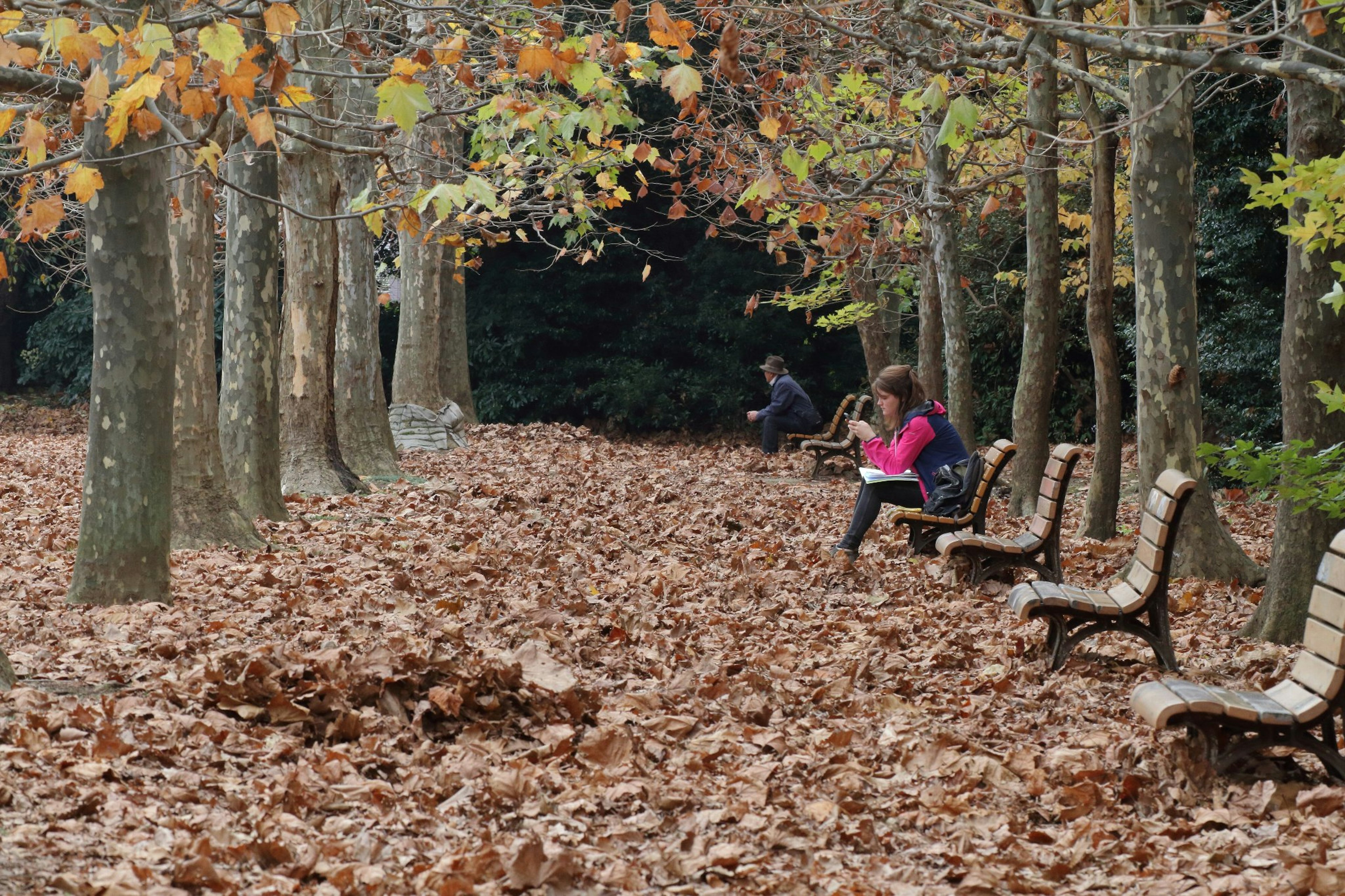 Menschen sitzen auf Bänken in einem Herbstpark mit einem Teppich aus gefallenen Blättern