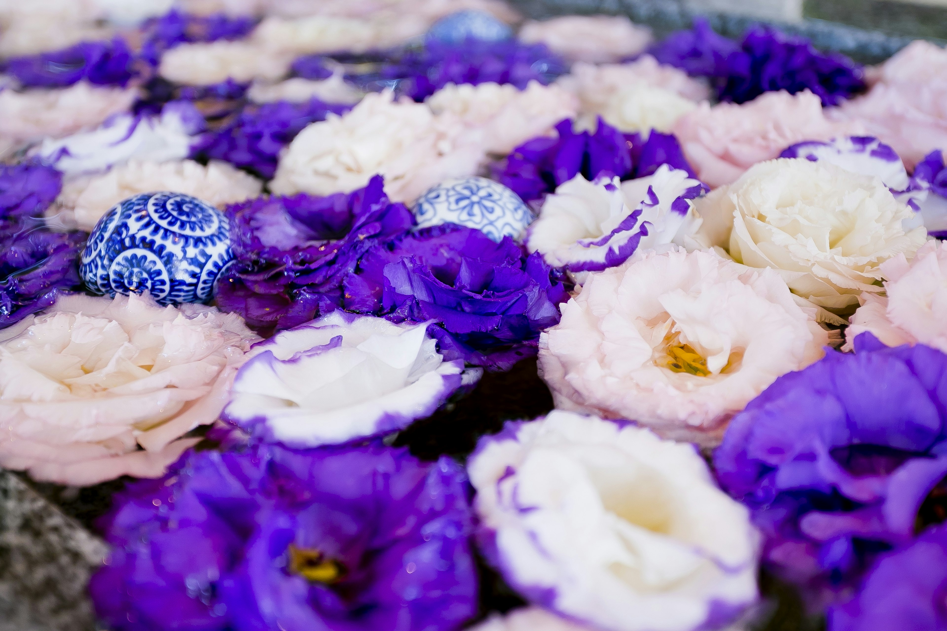 Beautiful arrangement of purple and white flowers floating on water