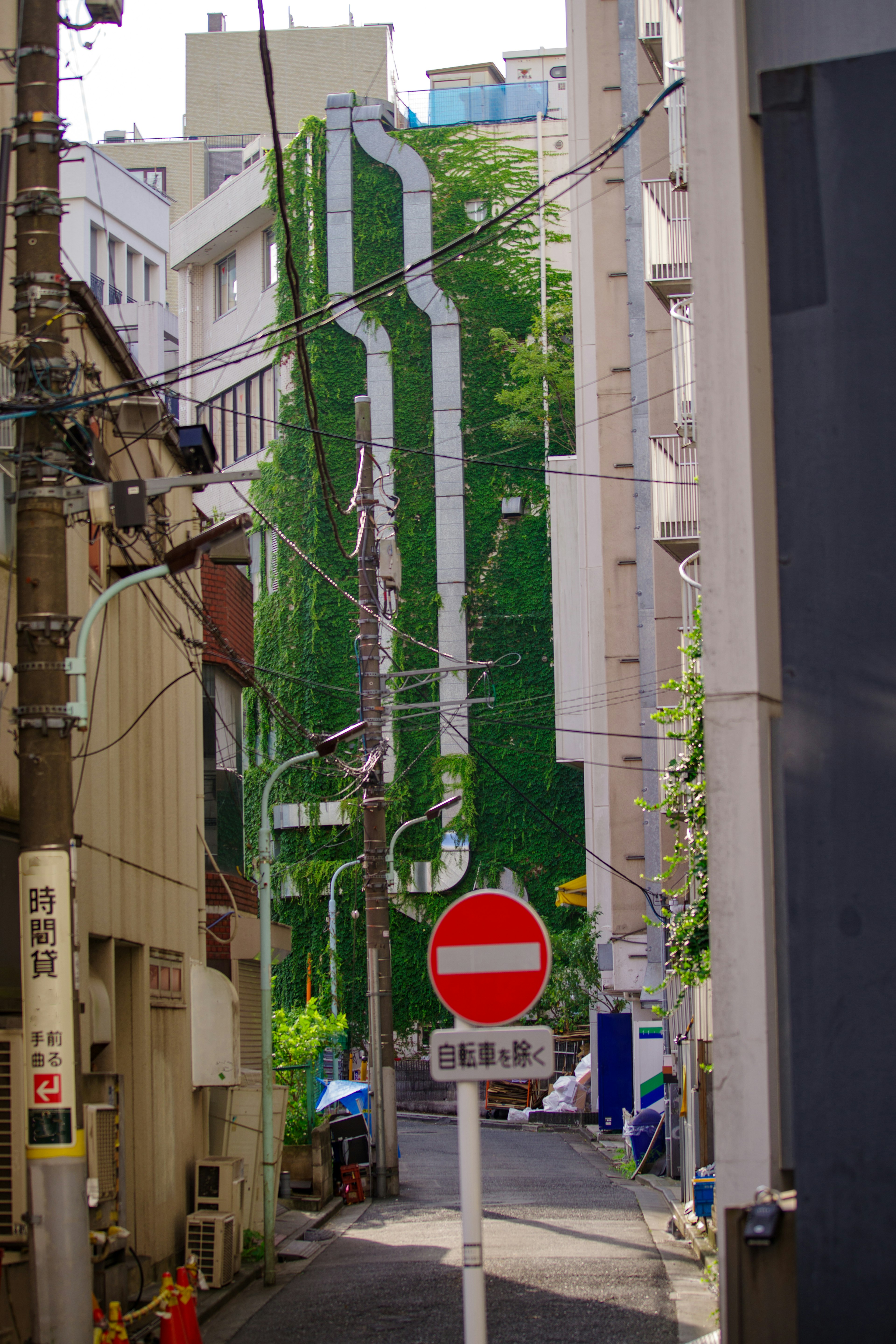 緑の壁が特徴的な狭い路地の風景