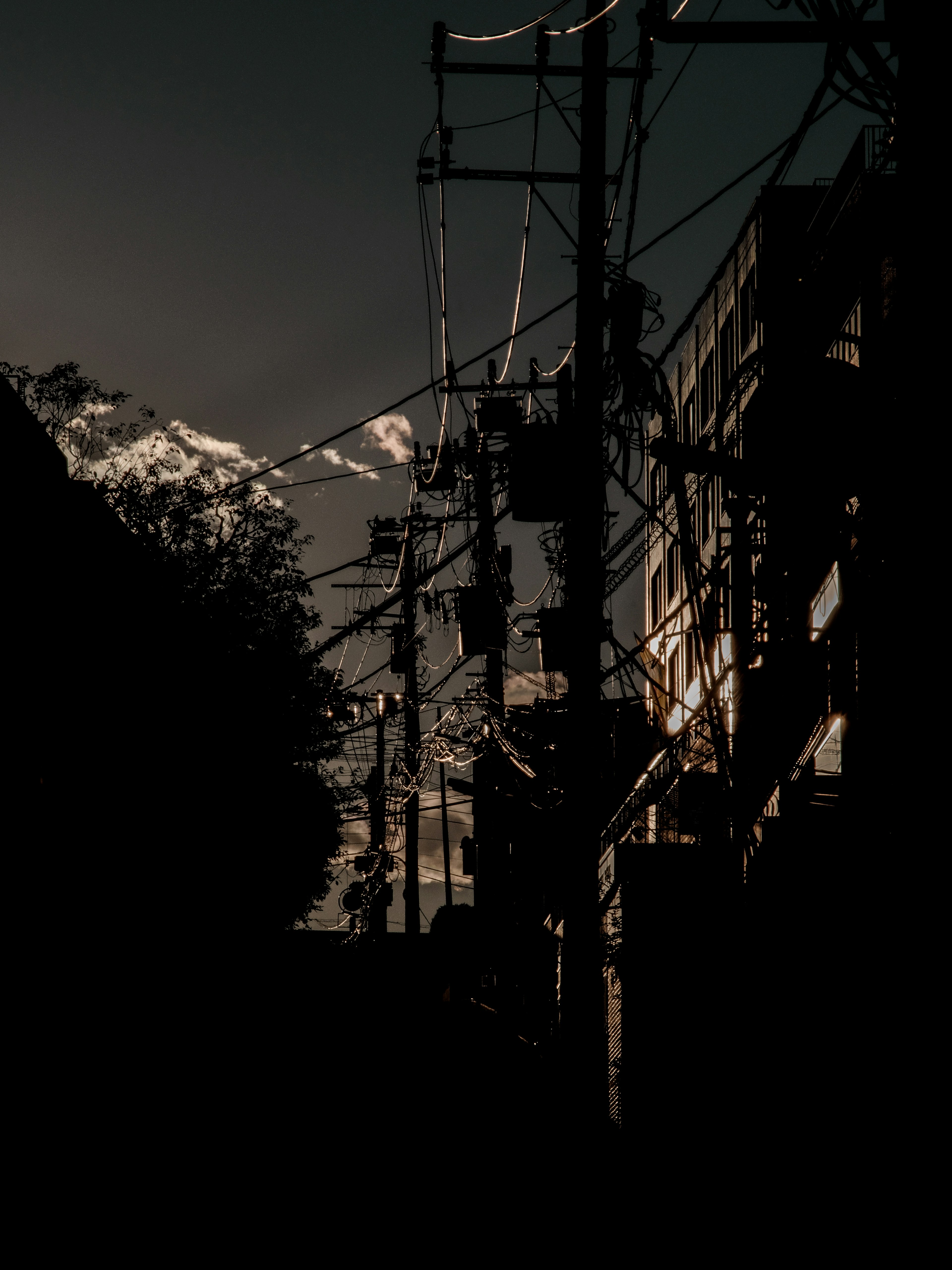 Silhouette di un paesaggio urbano con pali della luce al crepuscolo