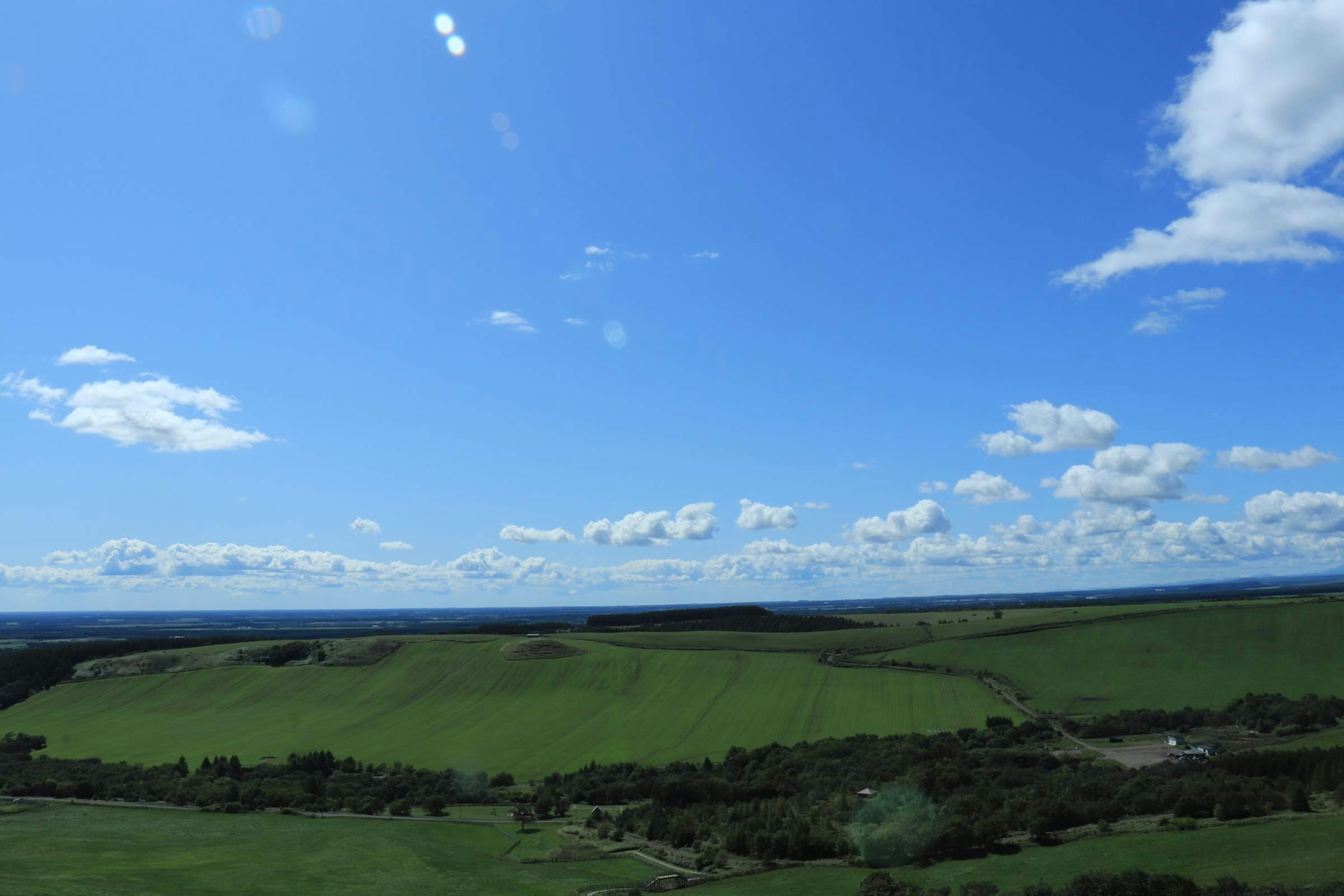 Vaste paysage verdoyant sous un ciel bleu clair avec des nuages blancs