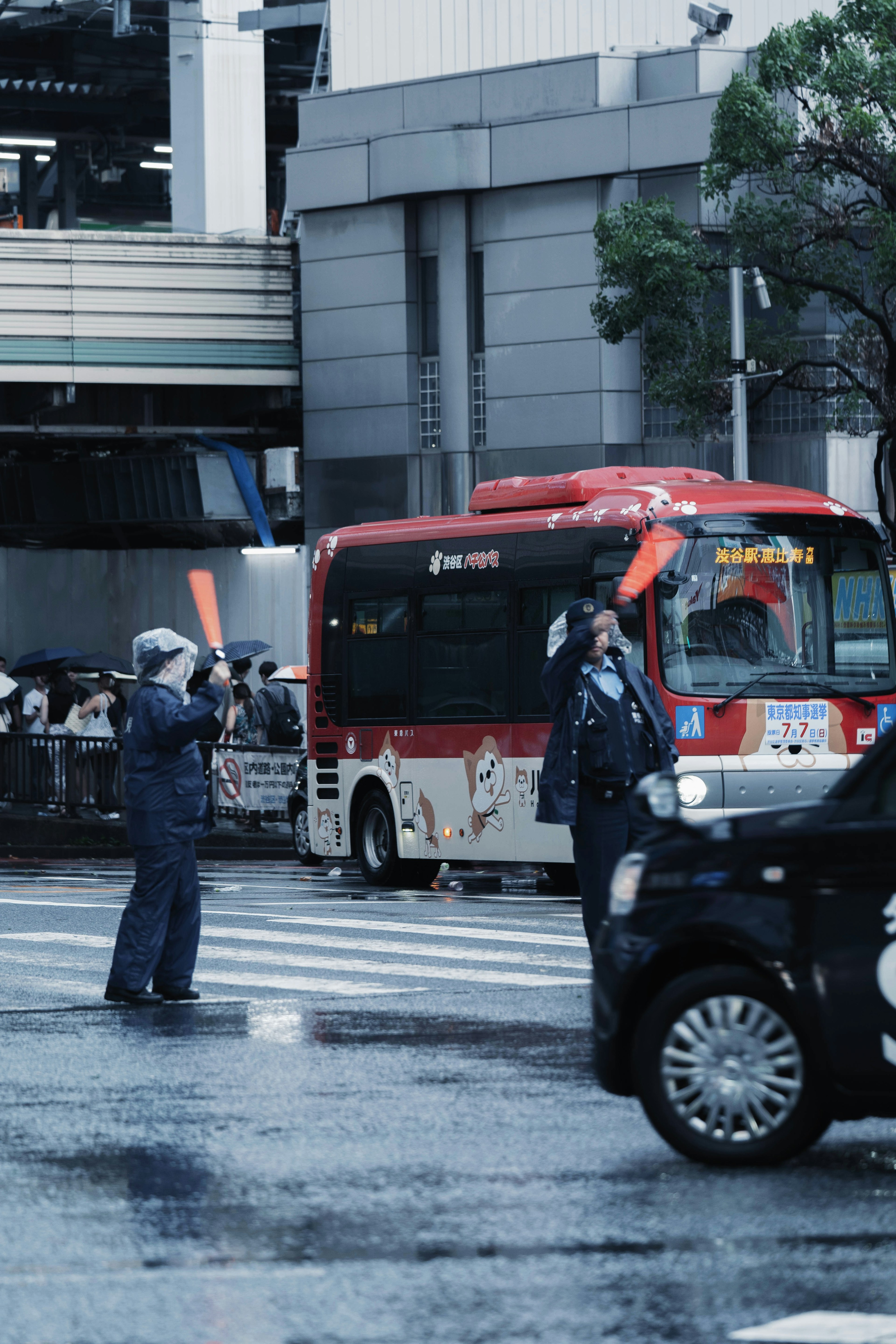 警察指挥交通，背景有红色公交车和黑色小车