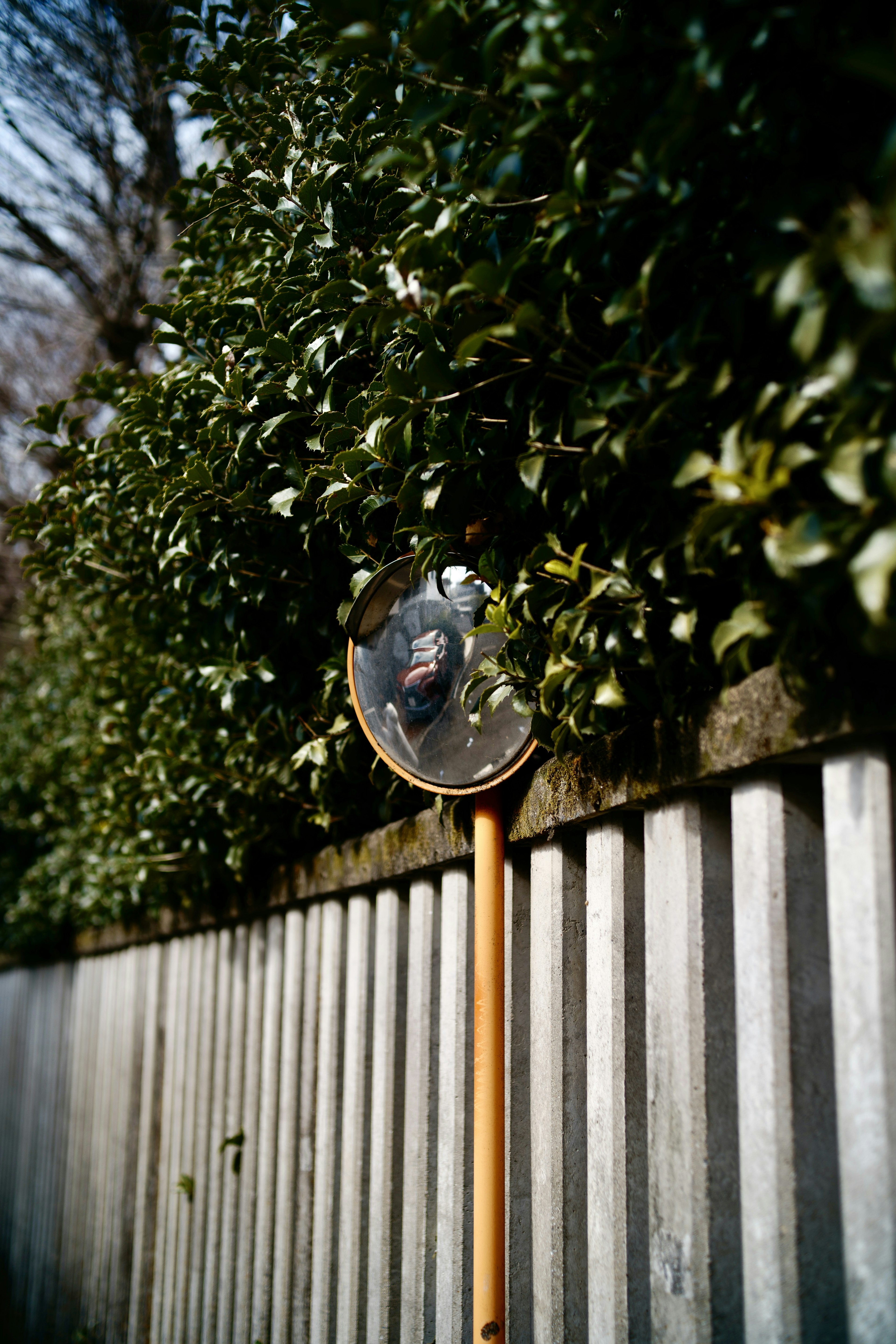 Miroir rond à côté d'une haie verte et d'une clôture en métal