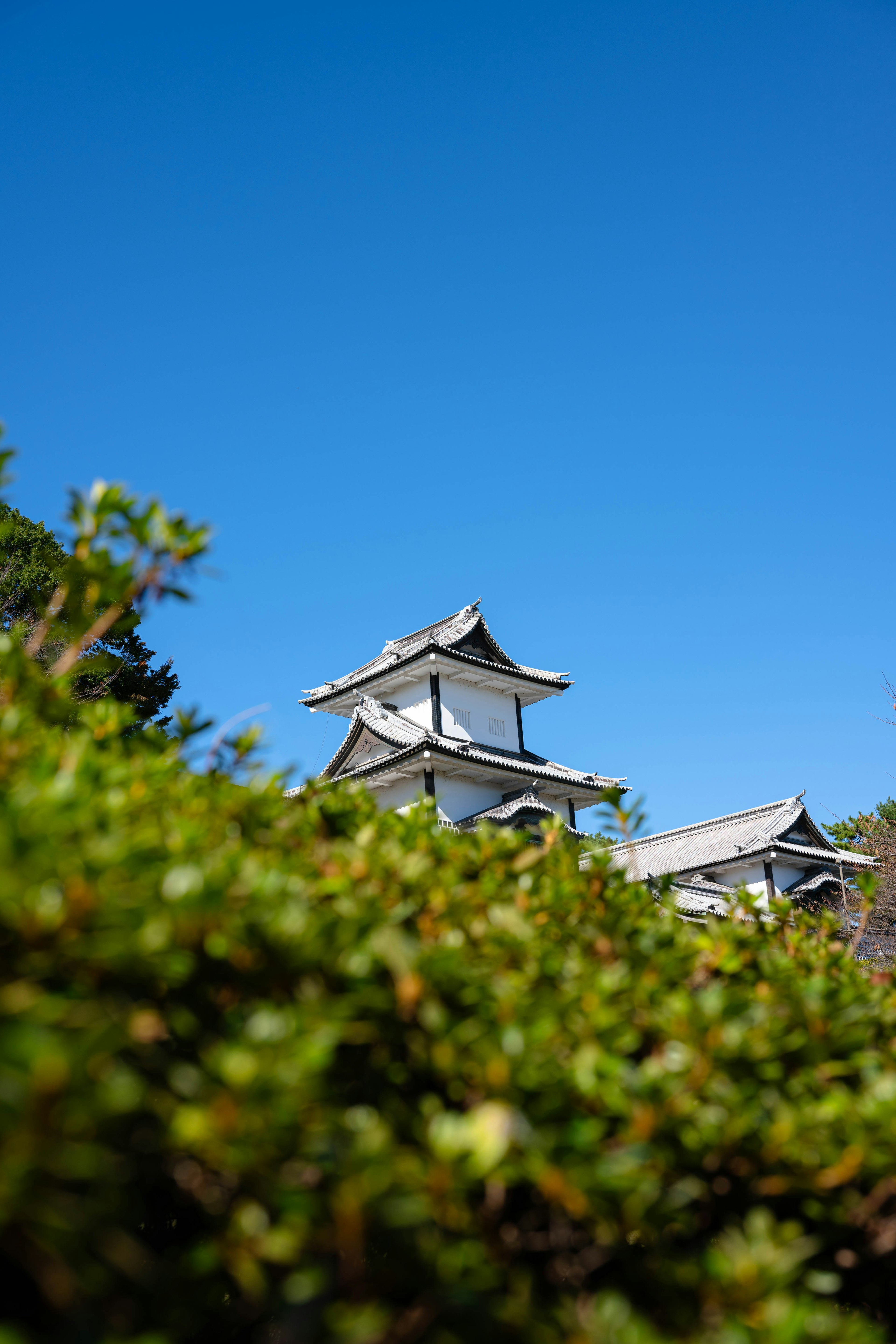 青空の下に見える伝統的な日本の城の一部と緑の木々