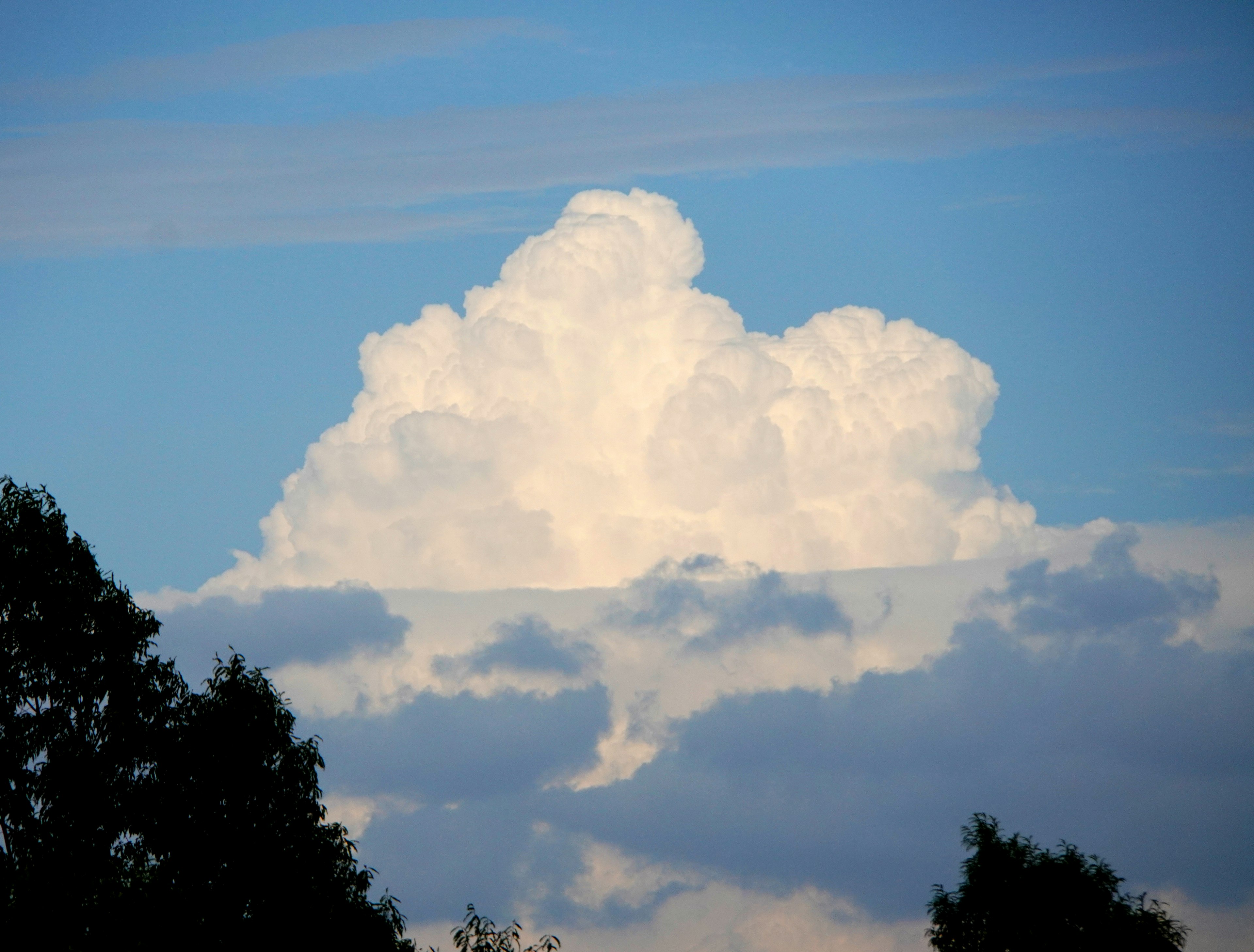 Nuvole bianche soffici contro un cielo blu con silhouette di alberi