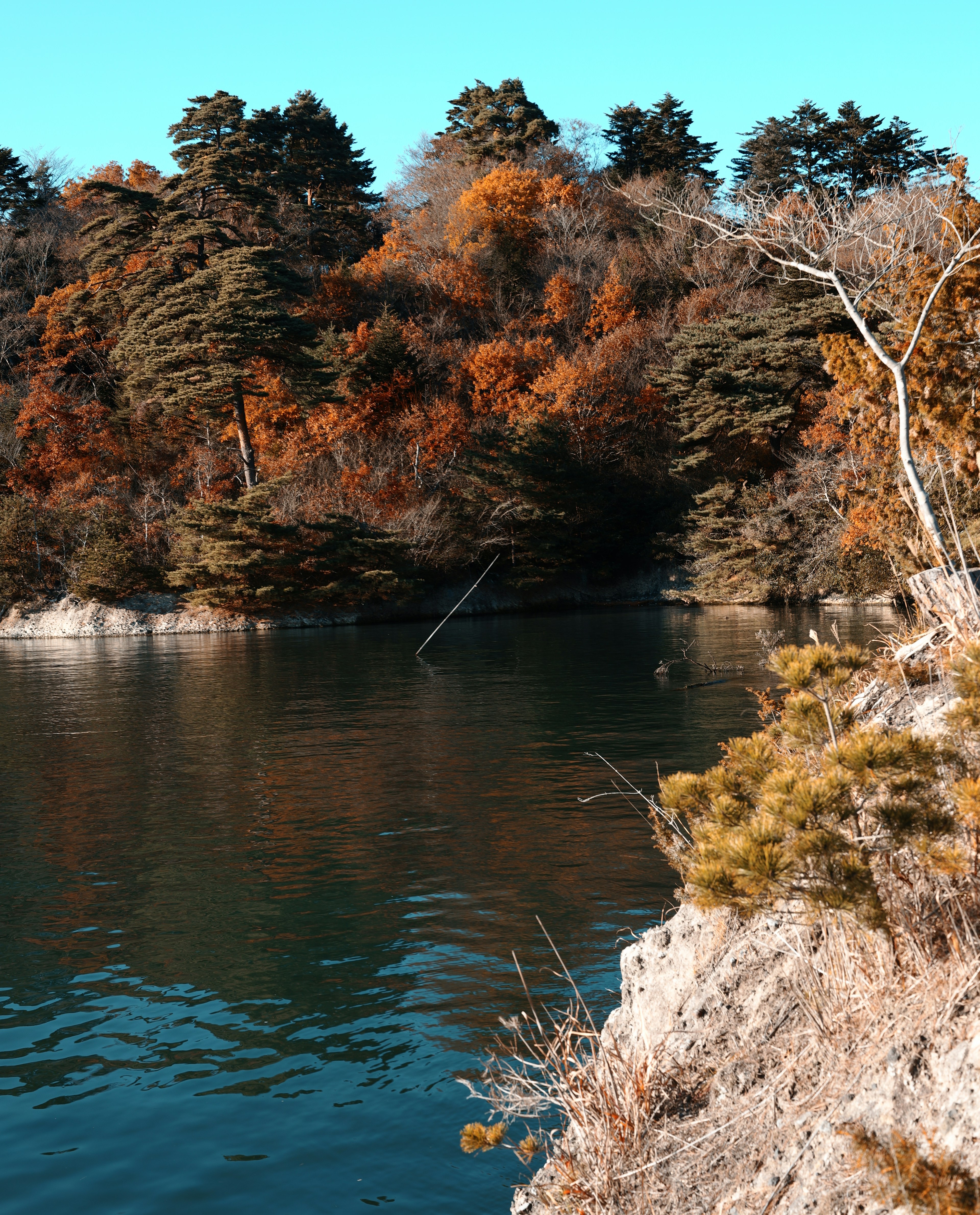 Paysage de rivière serein entouré d'eau bleue et de feuillage orange