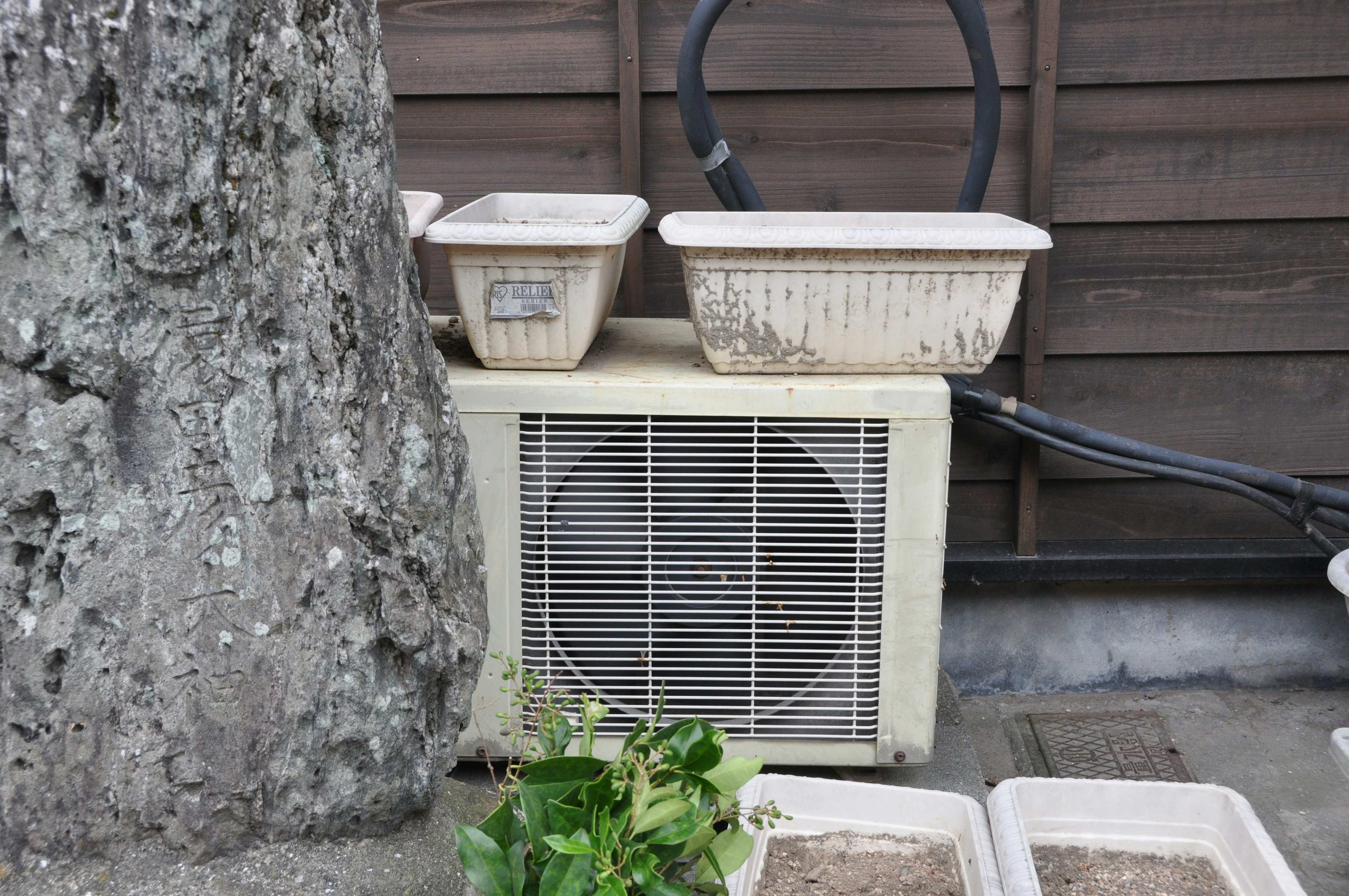 Scene featuring potted plants and a tree trunk near an air conditioning unit