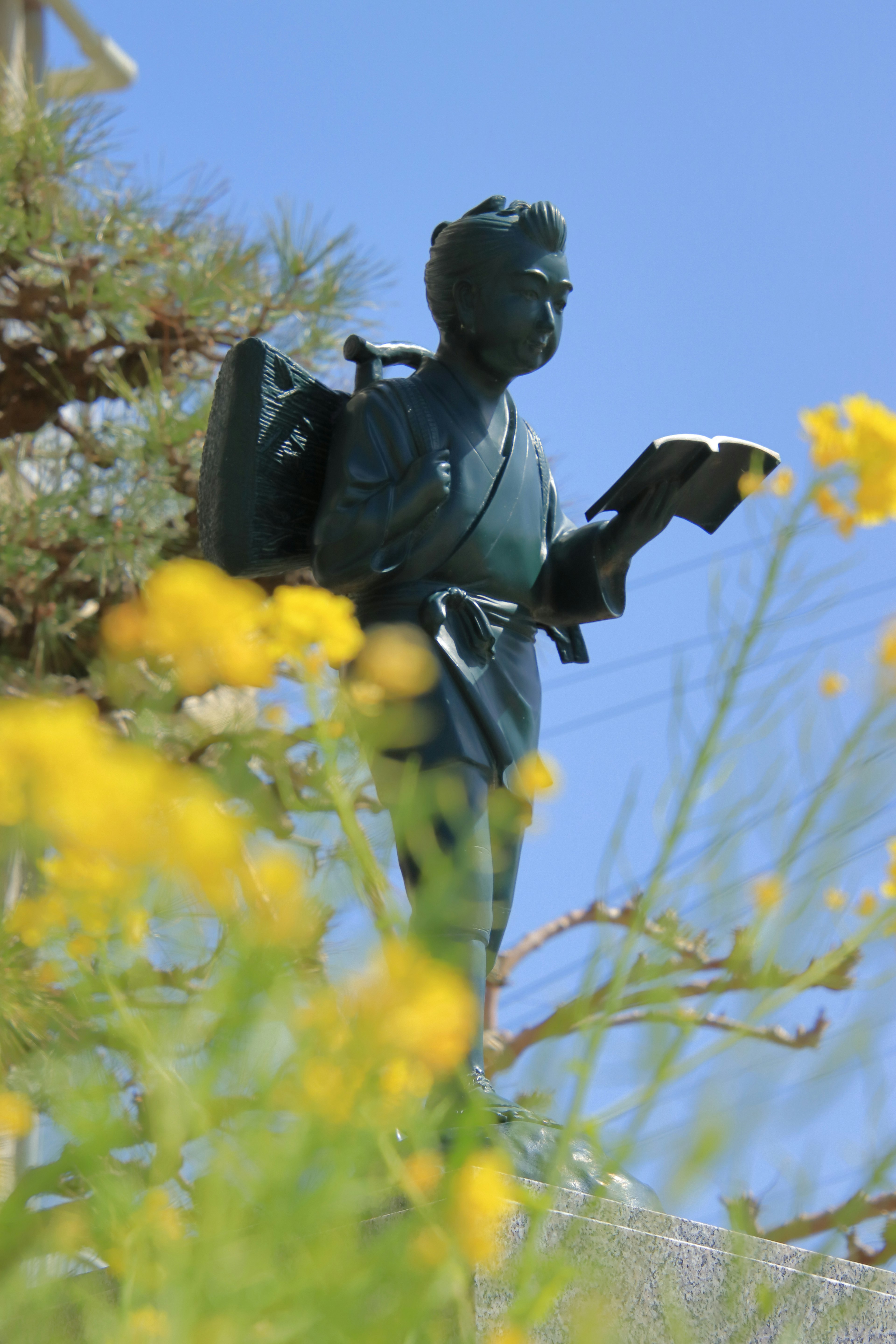 A statue in a kimono holding a book with yellow flowers in the foreground under a blue sky