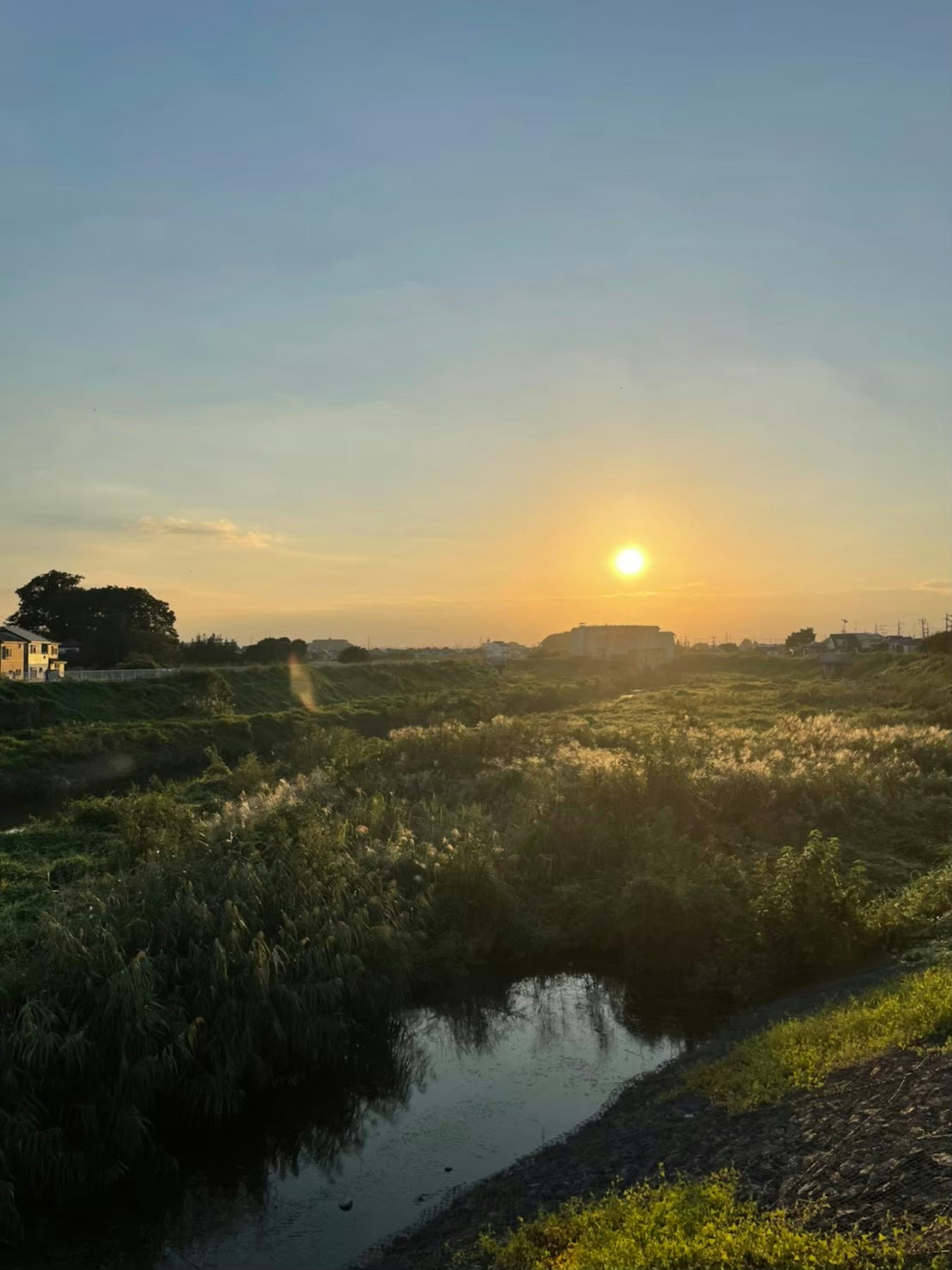 穏やかな夕暮れの風景で、草が生い茂る川岸と沈む太陽が描かれています