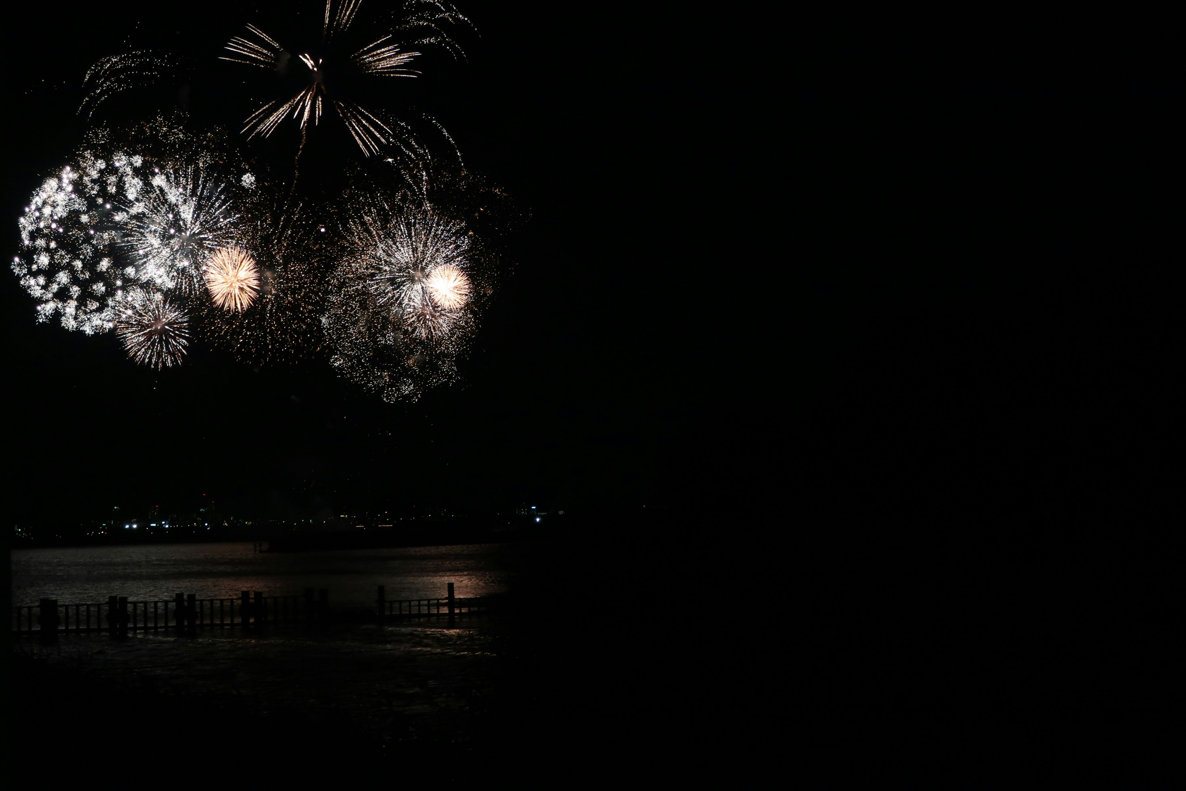 Hermoso espectáculo de fuegos artificiales iluminando el cielo nocturno