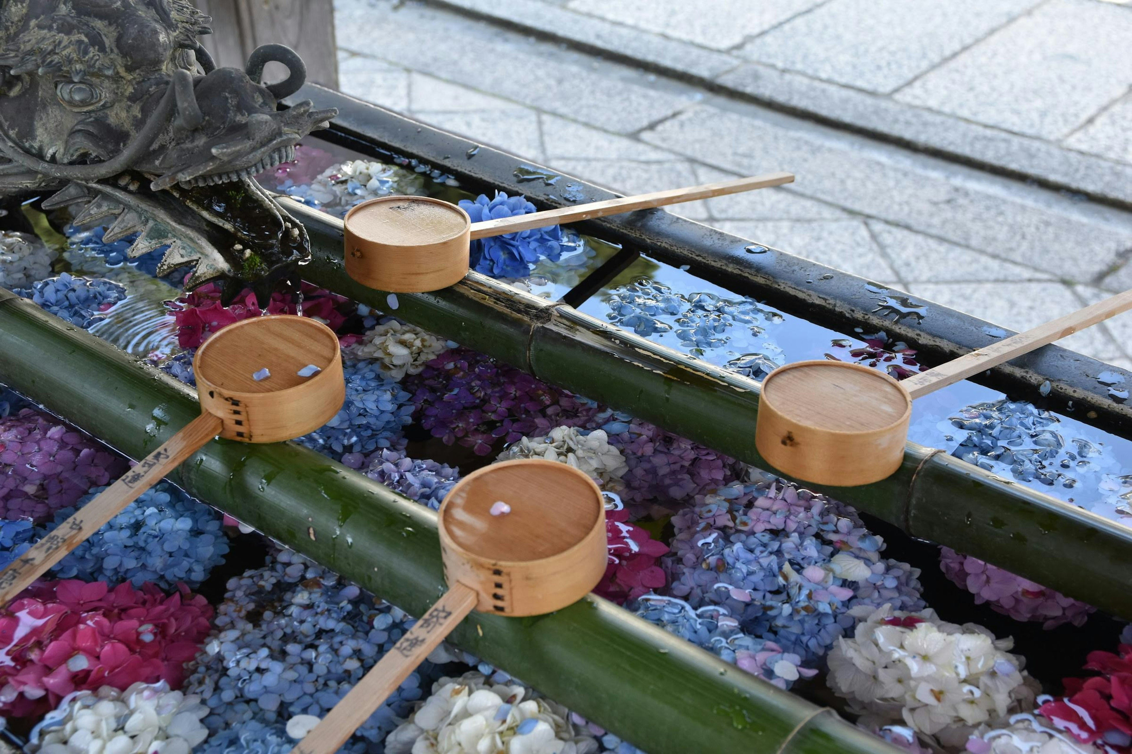 竹の水場に浮かぶ花と木製の柄杓