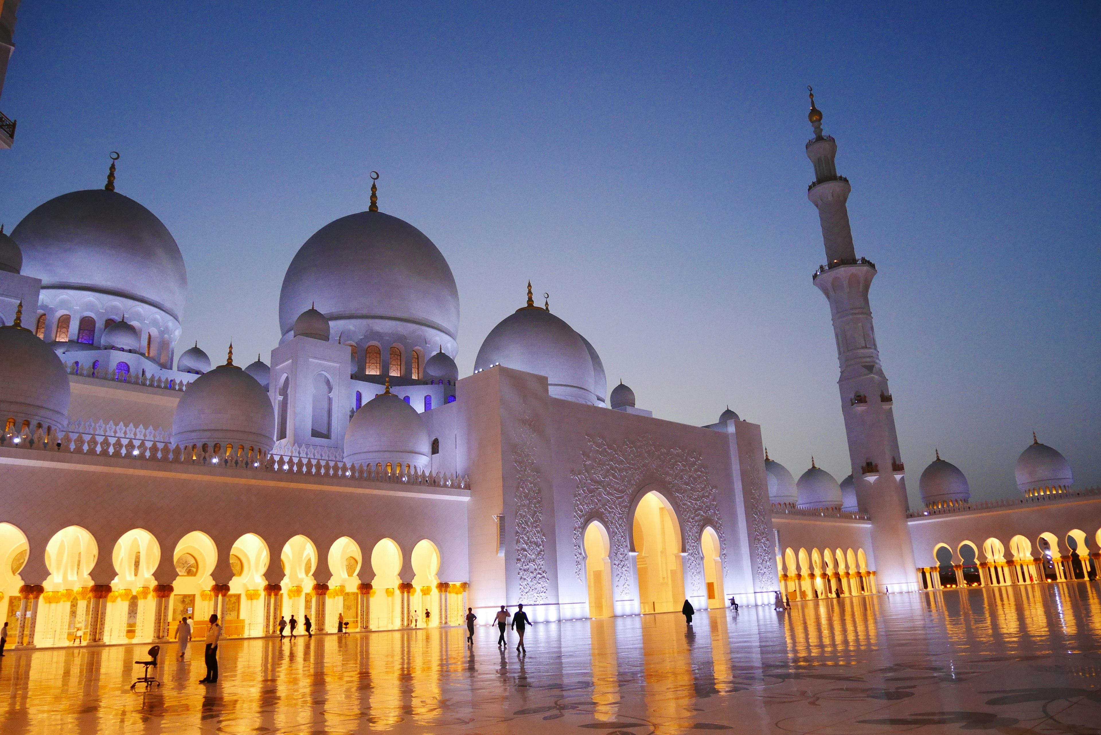 Vue nocturne impressionnante de la mosquée Sheikh Zayed avec de grands dômes