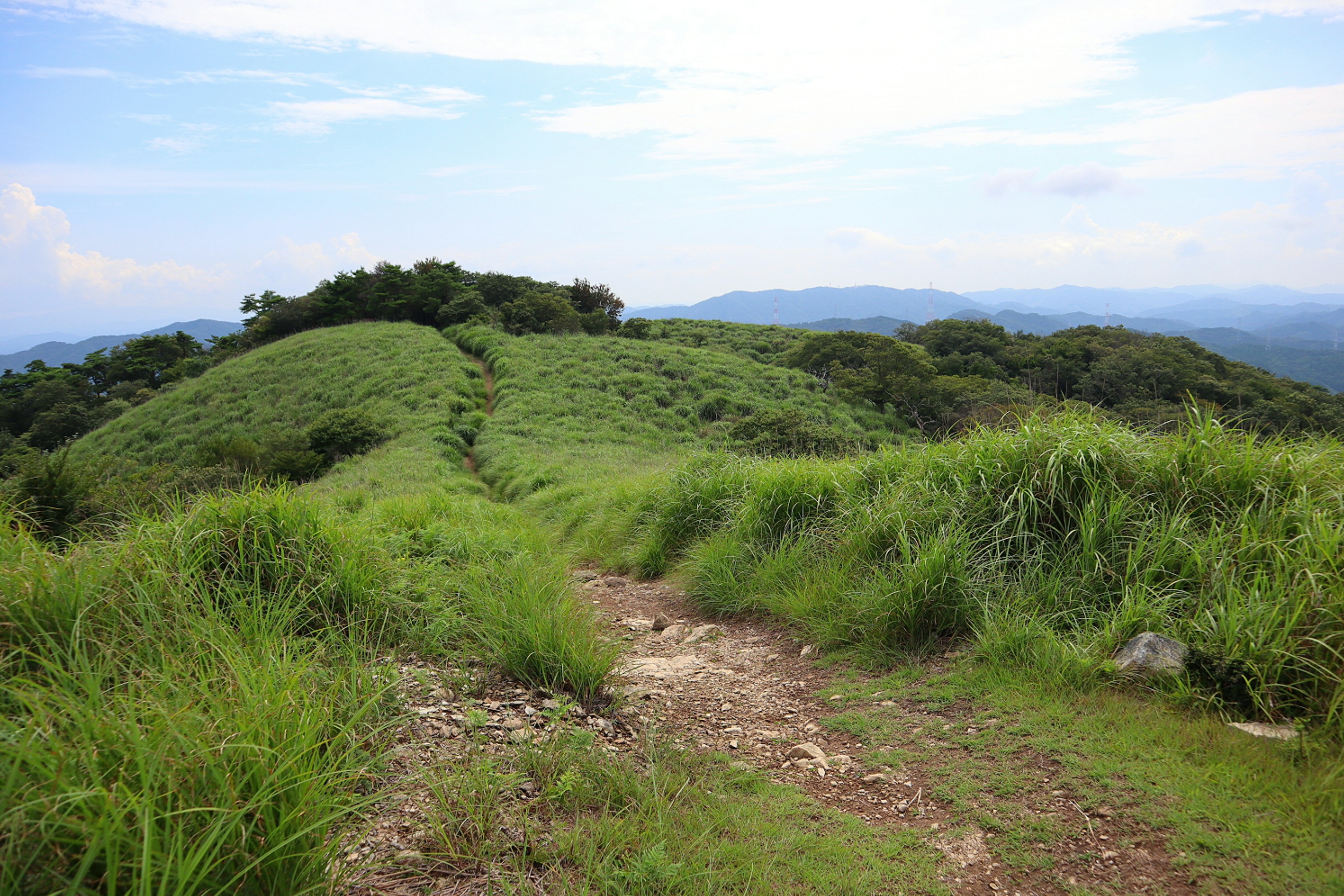 緑の丘と草原の景色 遠くに青い空と山々