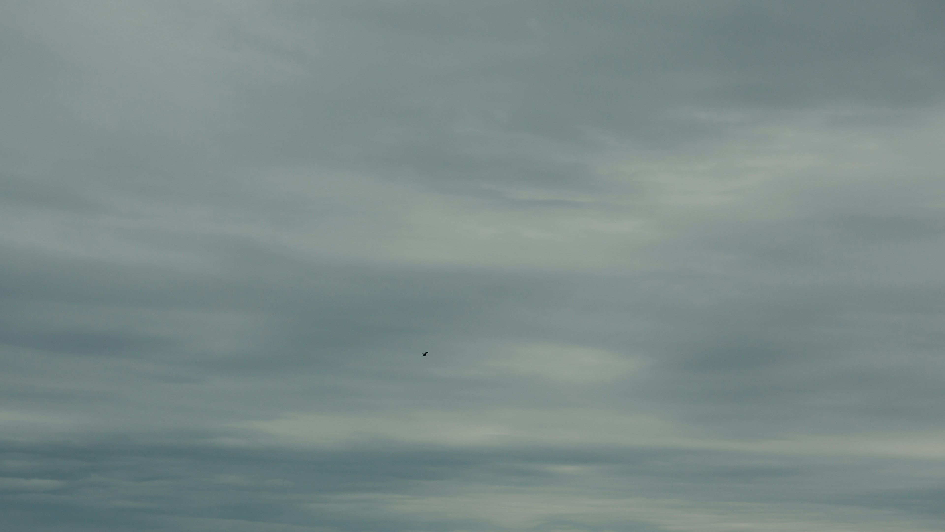 青灰色の空に広がる雲の模様