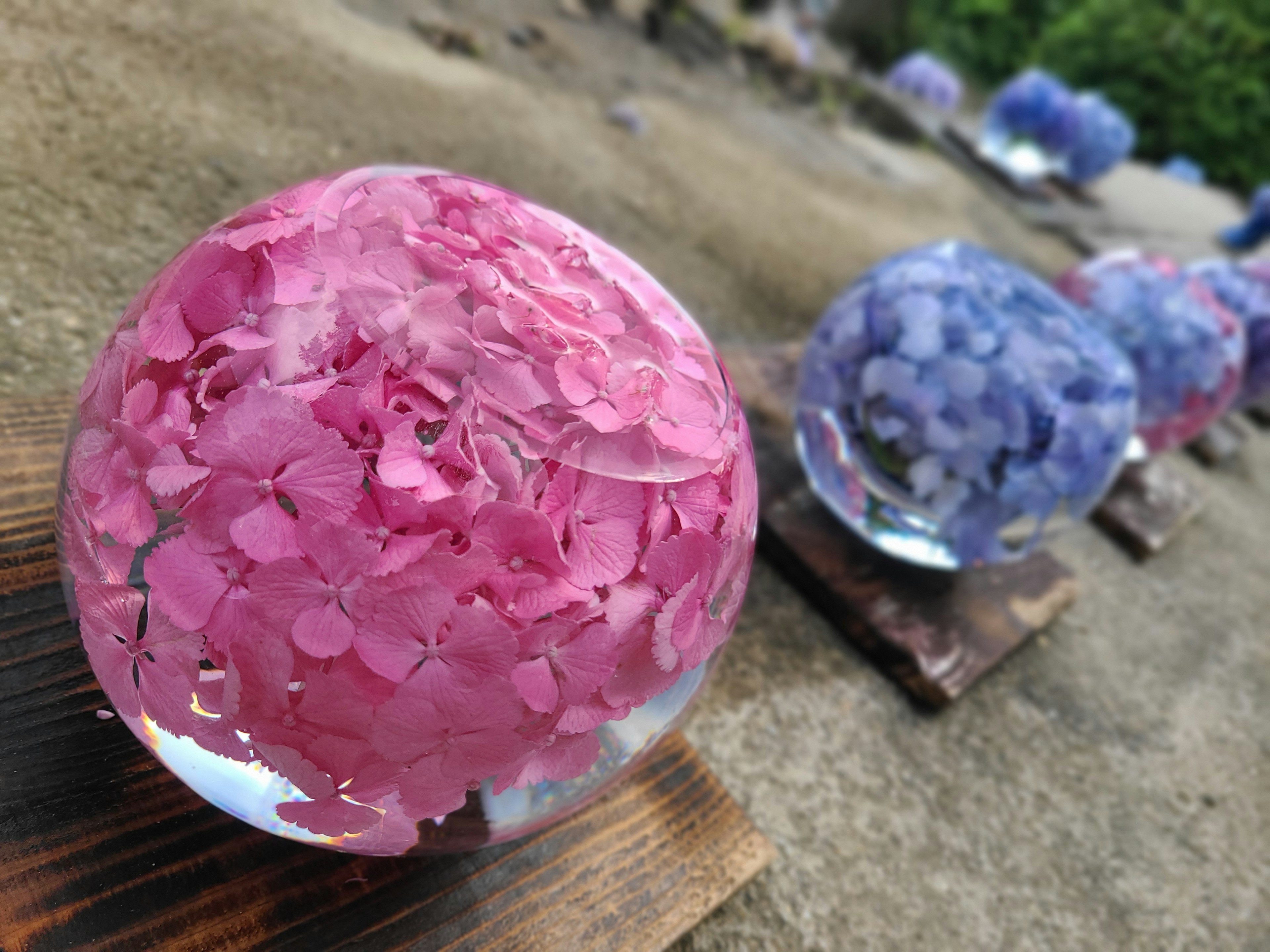 Beautiful spherical objects filled with hydrangea petals in pink and purple