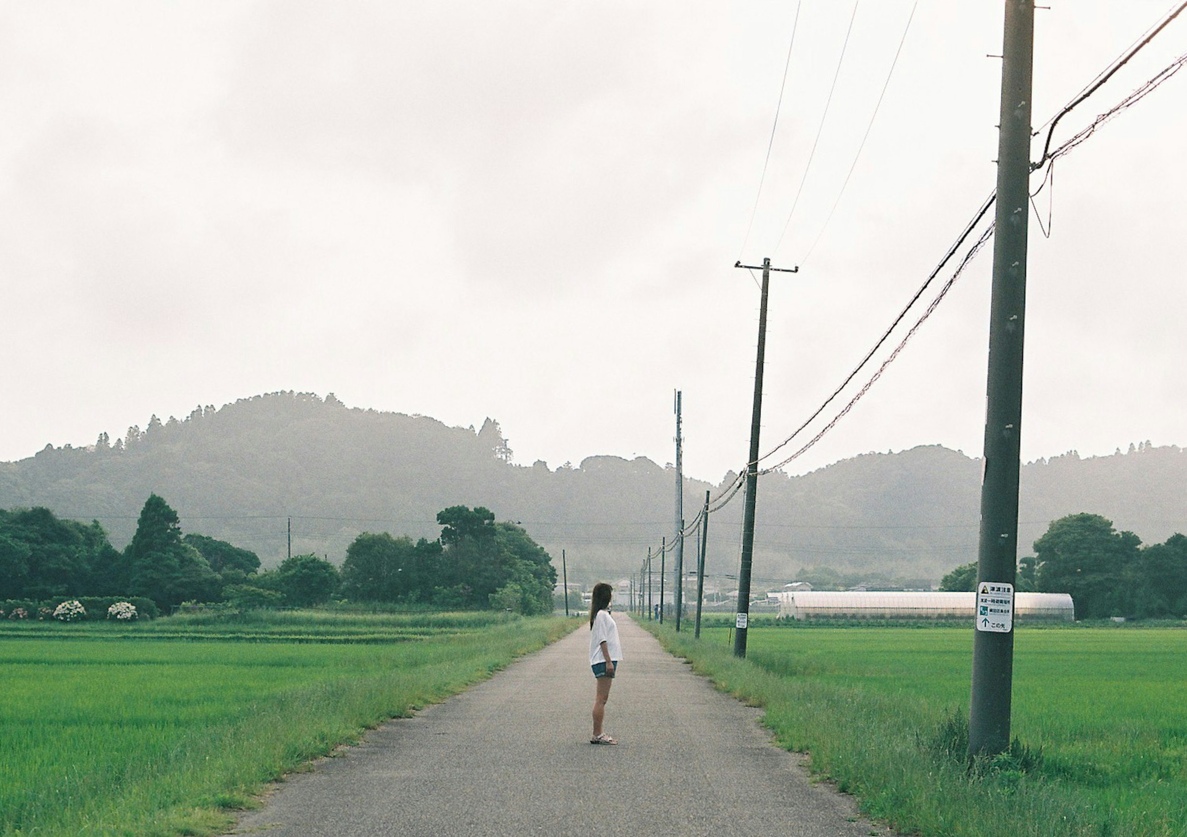 田んぼの道を歩く女性と背景の山々