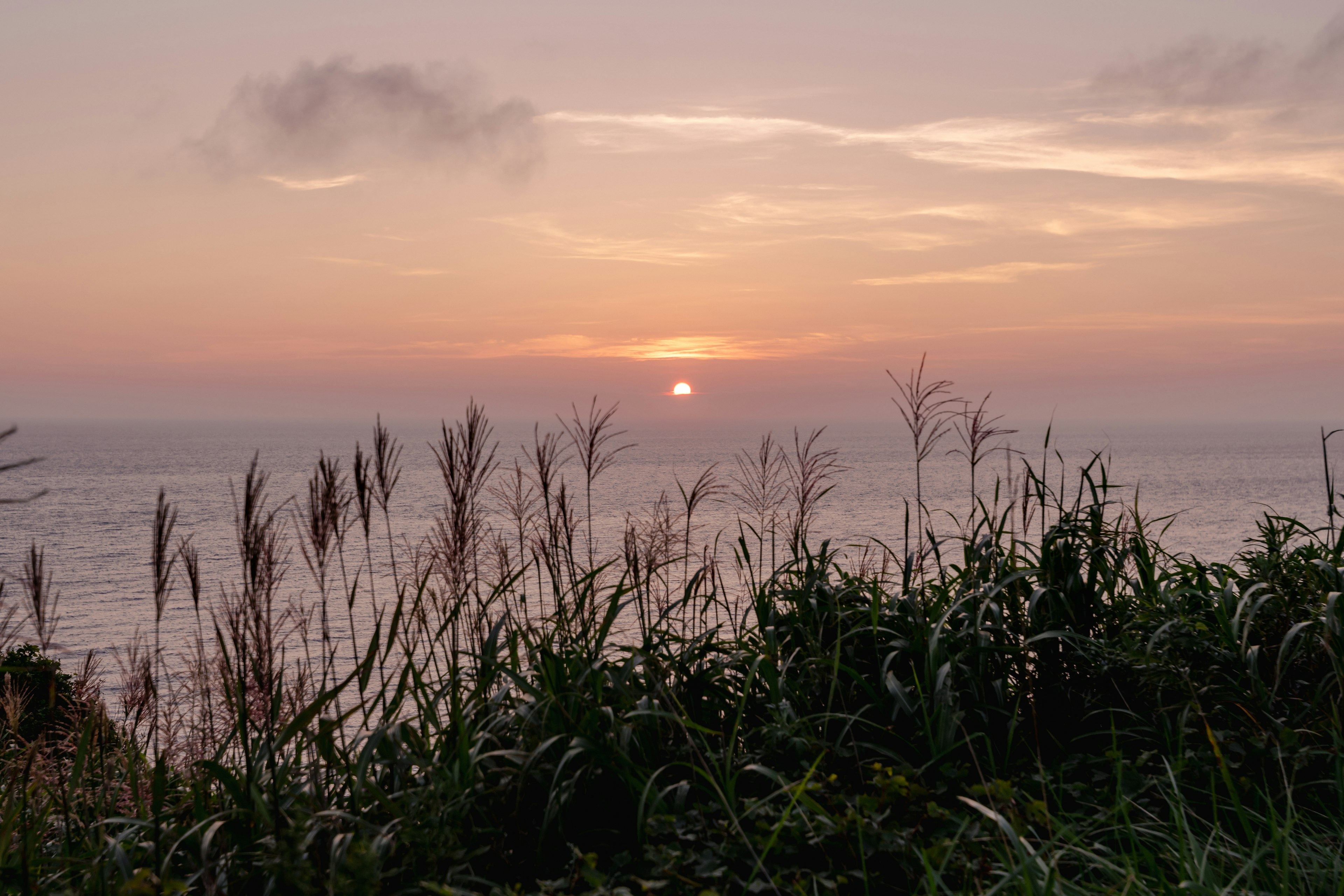 Paisaje costero con puesta de sol sobre el océano y hierba