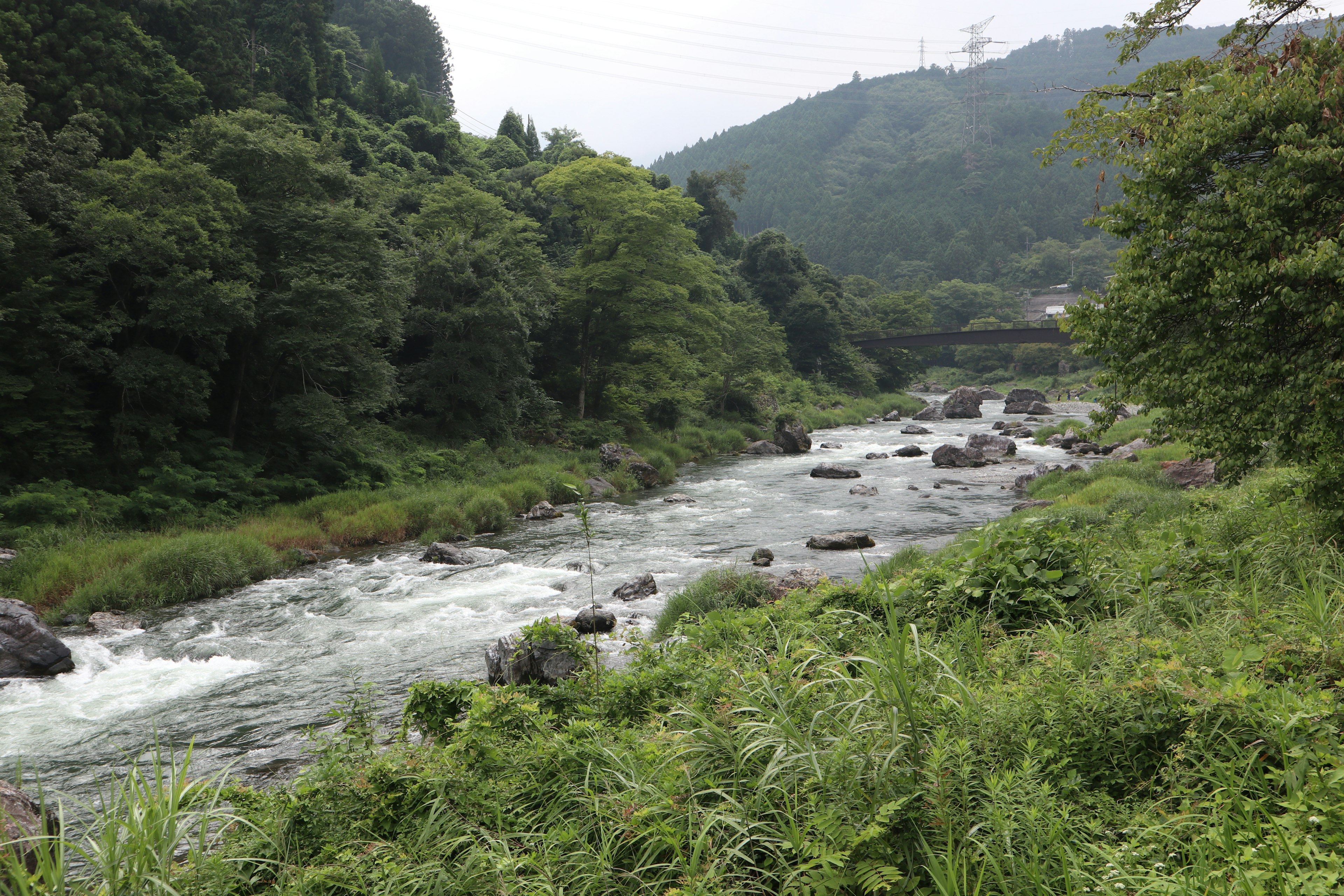 Pemandangan sungai yang tenang dikelilingi gunung hijau