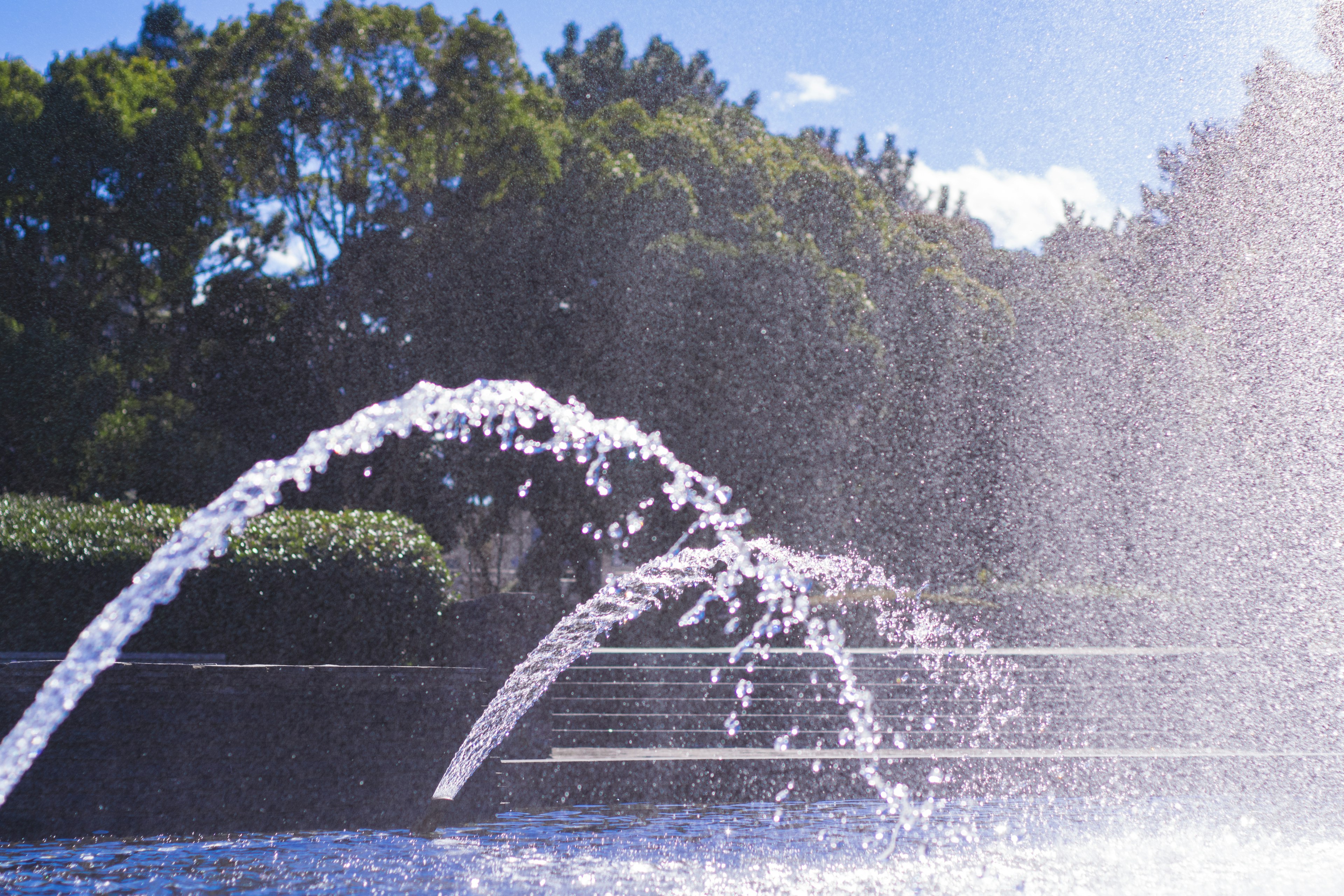 Ein Parkbrunnen, der Wasser spritzt, mit grünem Hintergrund