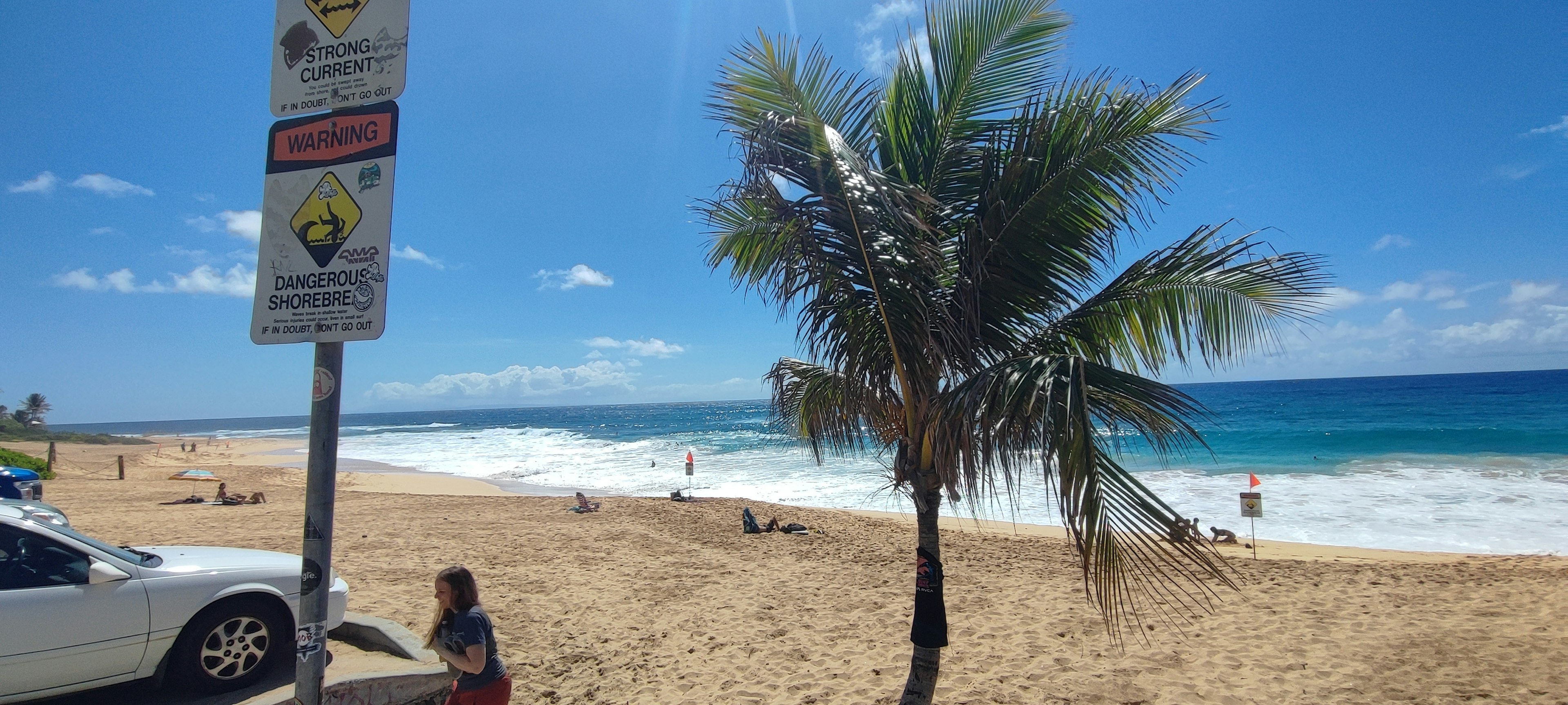 Palm tree on the beach with blue ocean waves