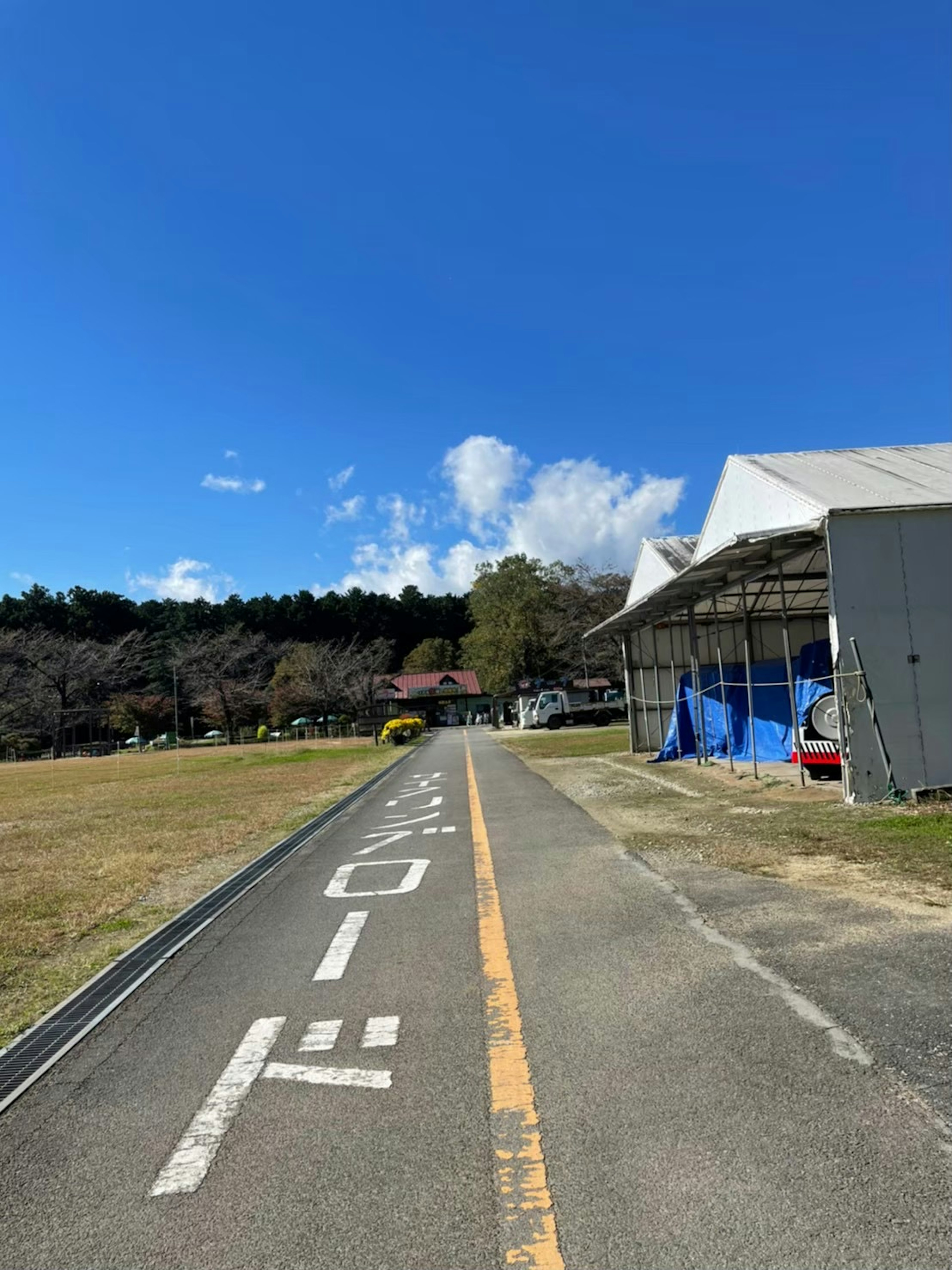 蓝天下的铺砌道路和周围的绿地及建筑物