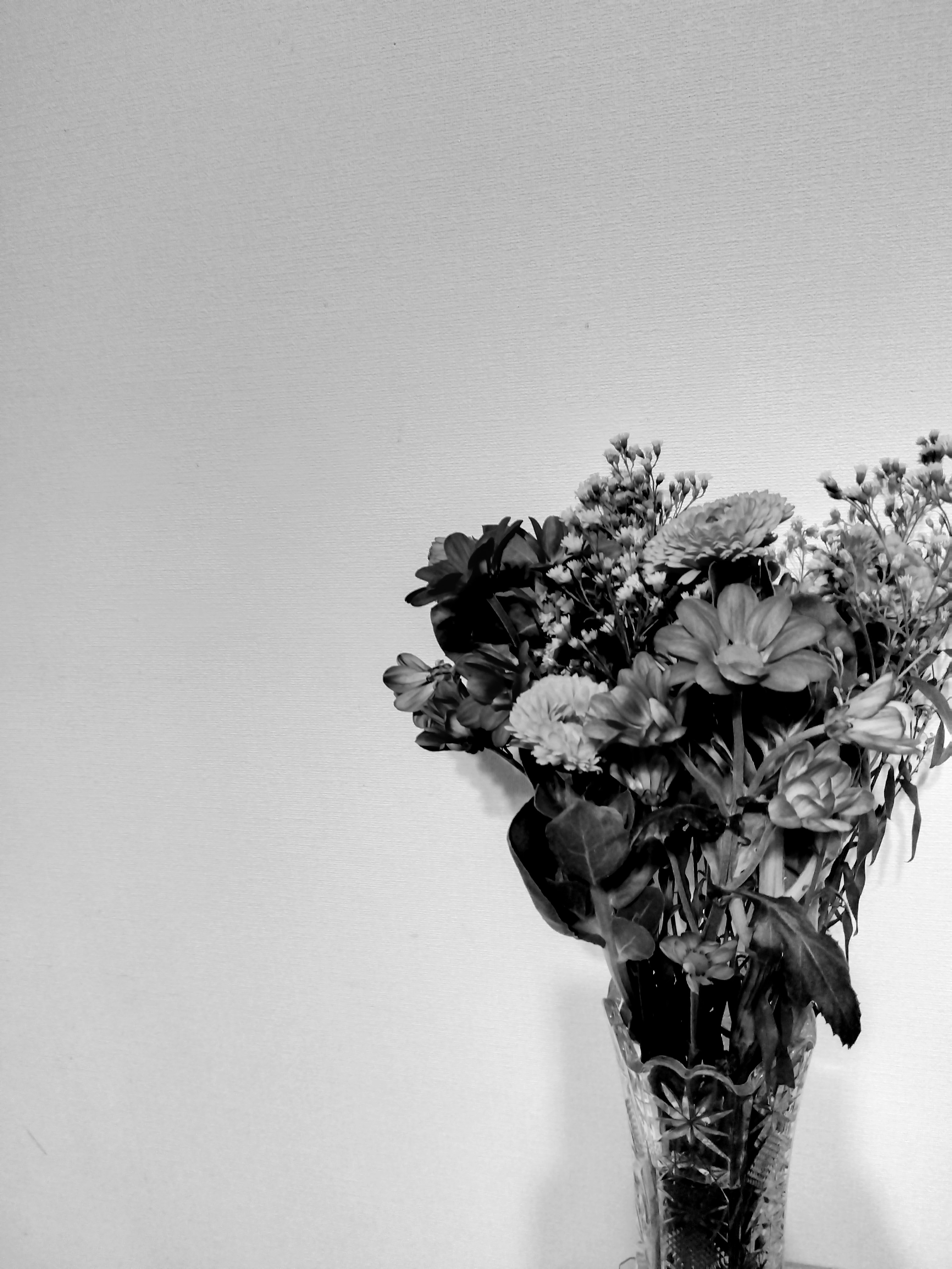 A black and white image of a vase filled with flowers against a simple background